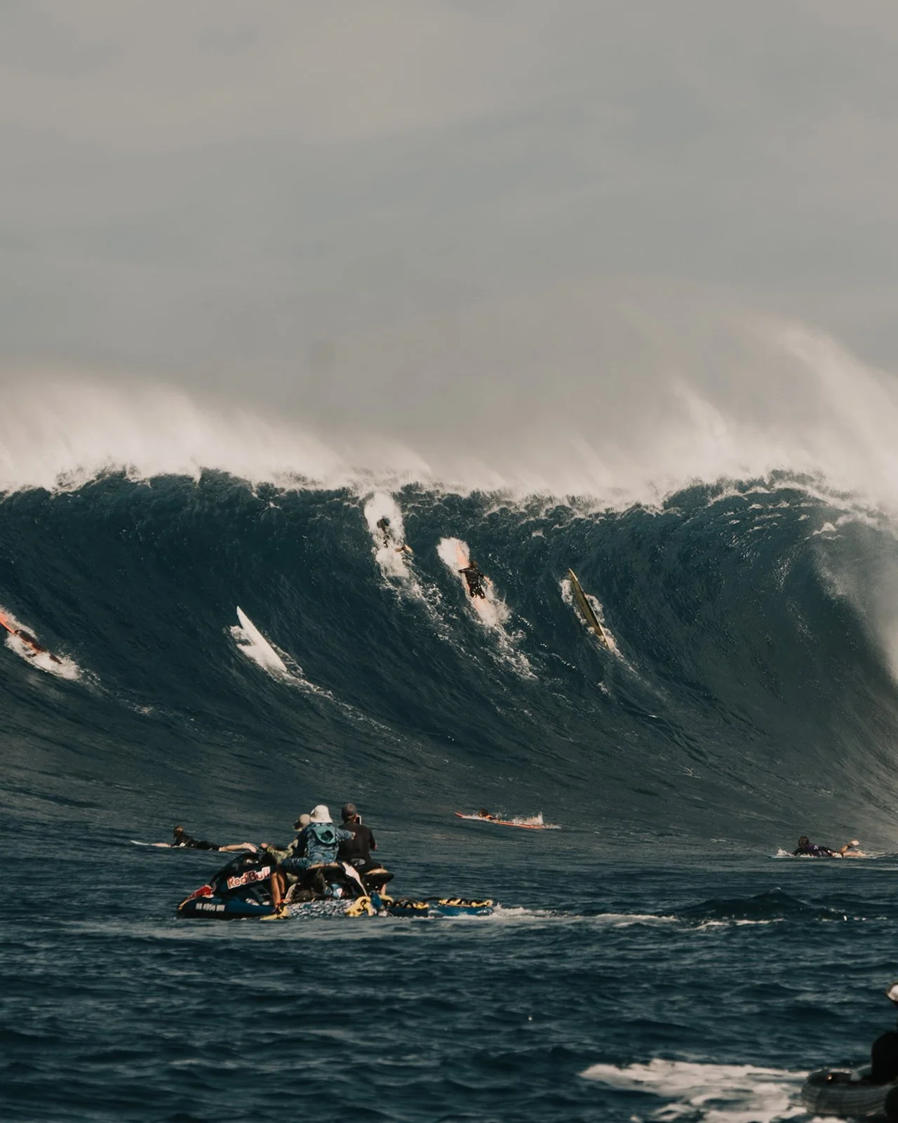 (Jaws)