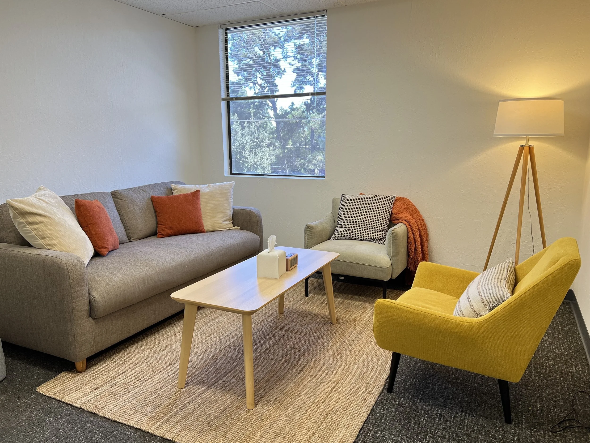 Comfortable therapy setting designed for individual and child sessions