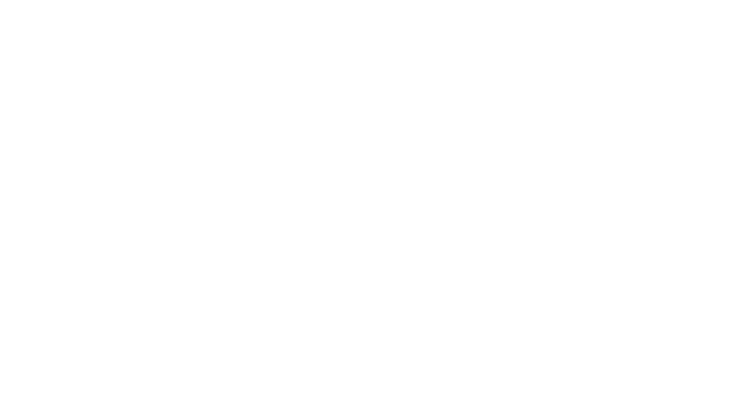 SDI Schuett Development Inc. — Professional Grade Gaskets