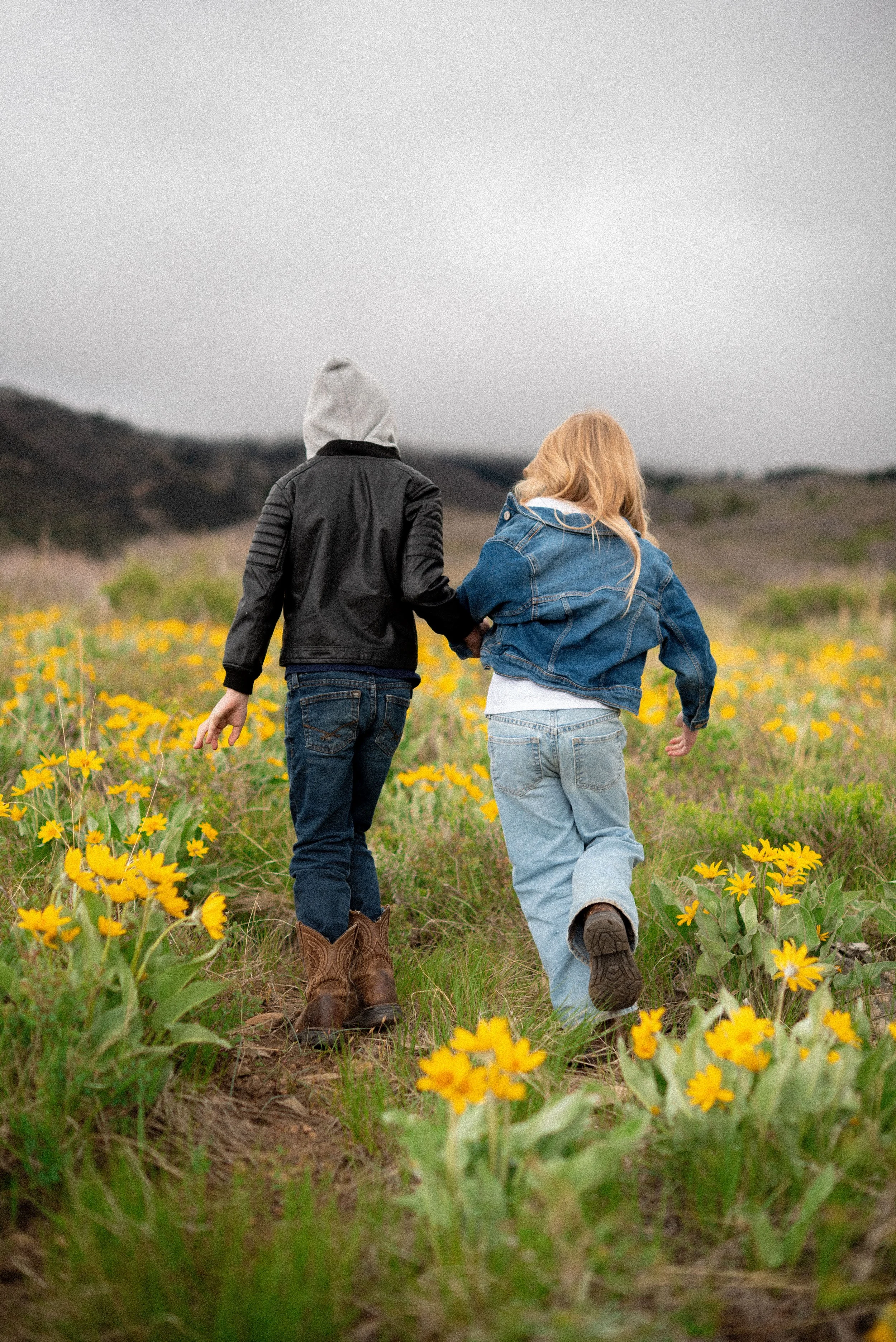 Two children walking through a field of yellow flowers, wearing jackets and jeans, with their backs to the camera.