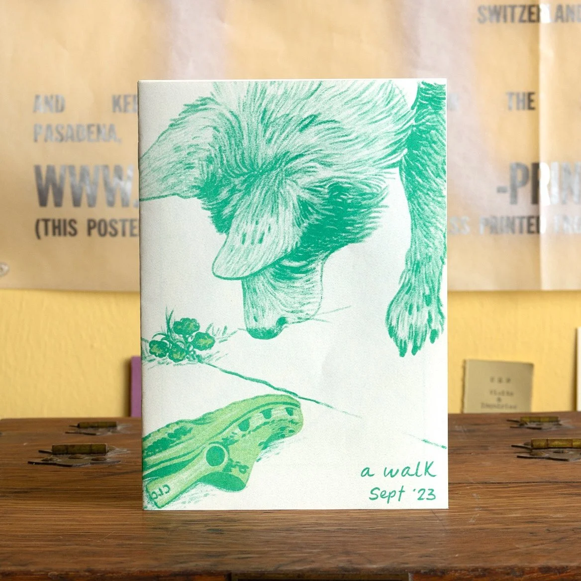 16 page zine, Risograph