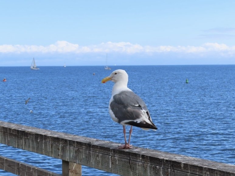 IMG_4756.jpeg