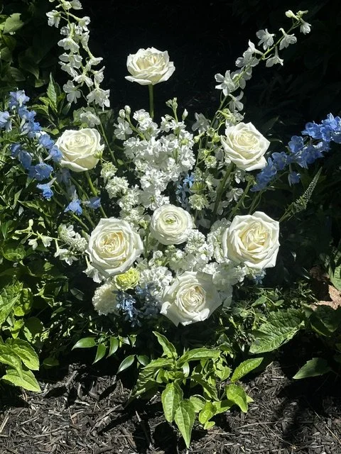 IMG_5129.jpeg