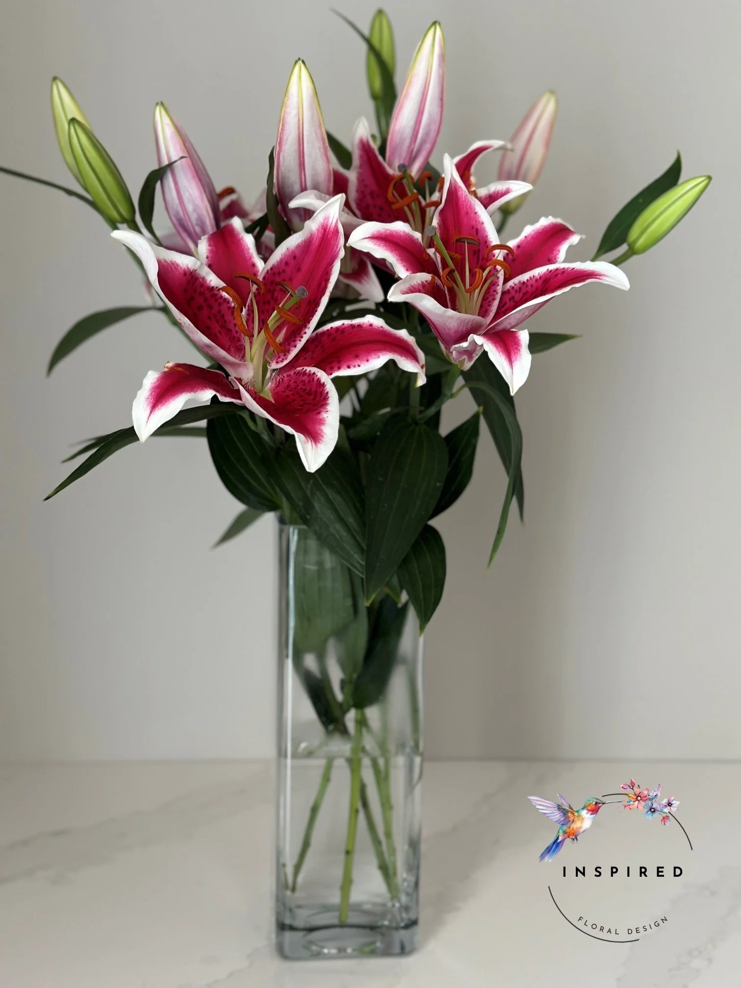 Serendipity Stargazers .jpg