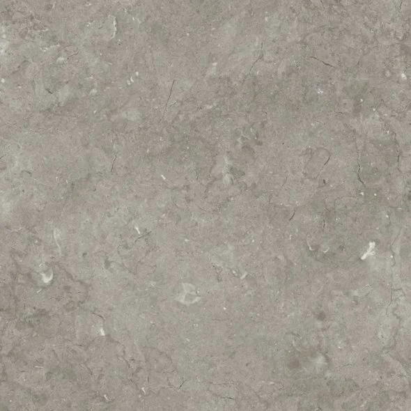 Close-up of a textured, gray surface, likely concrete or stone.