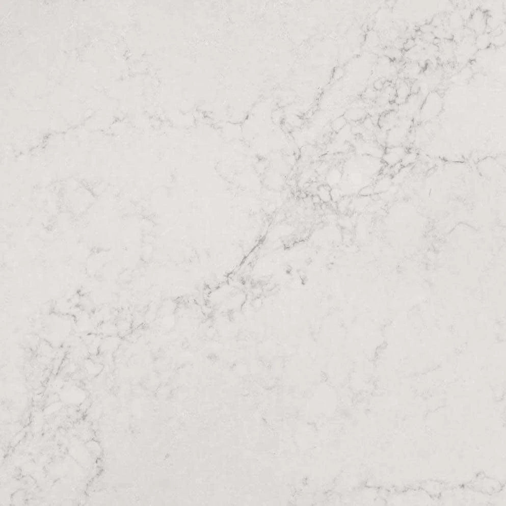 Close-up of white marble surface with subtle gray veining.