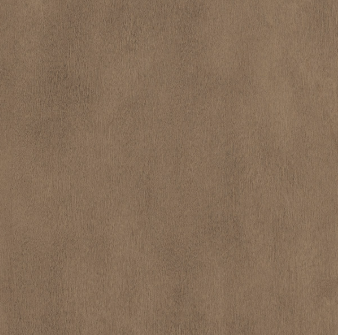 Morel.png