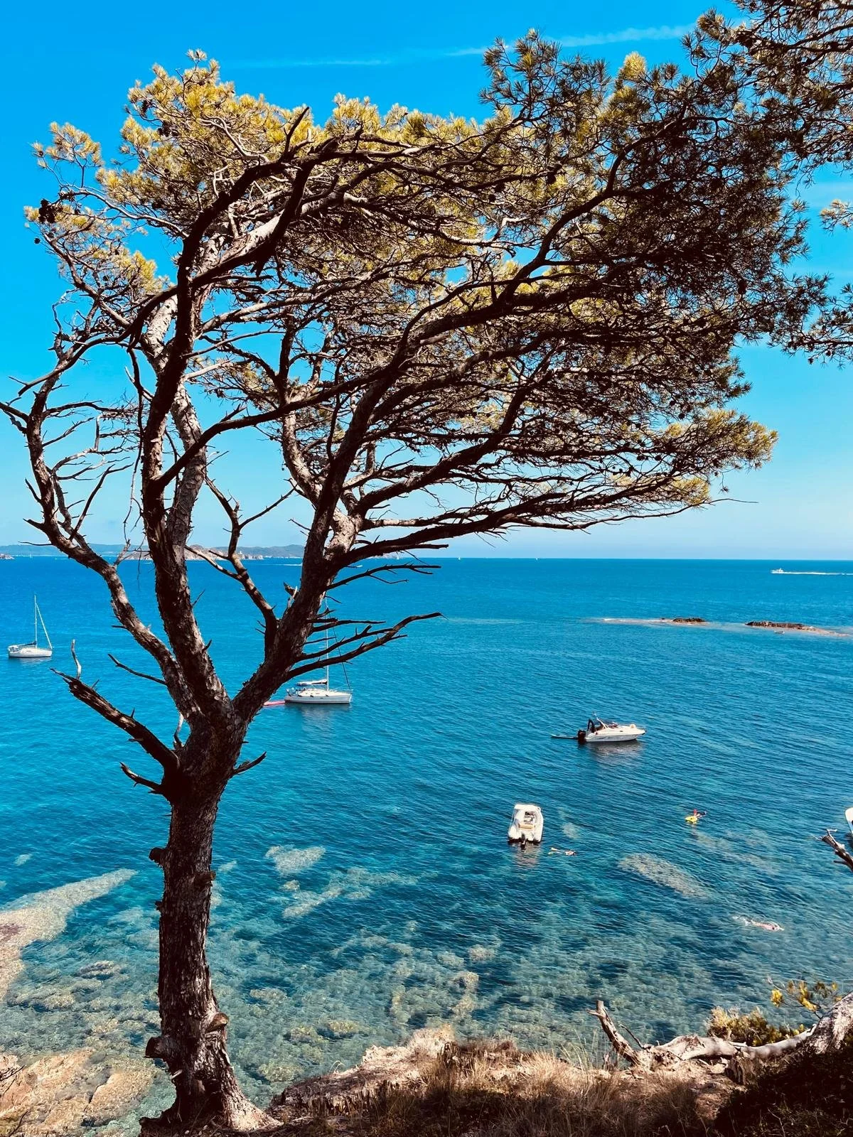 WhatsApp Image 2025-07-04 at 16.11.58 (3).jpeg