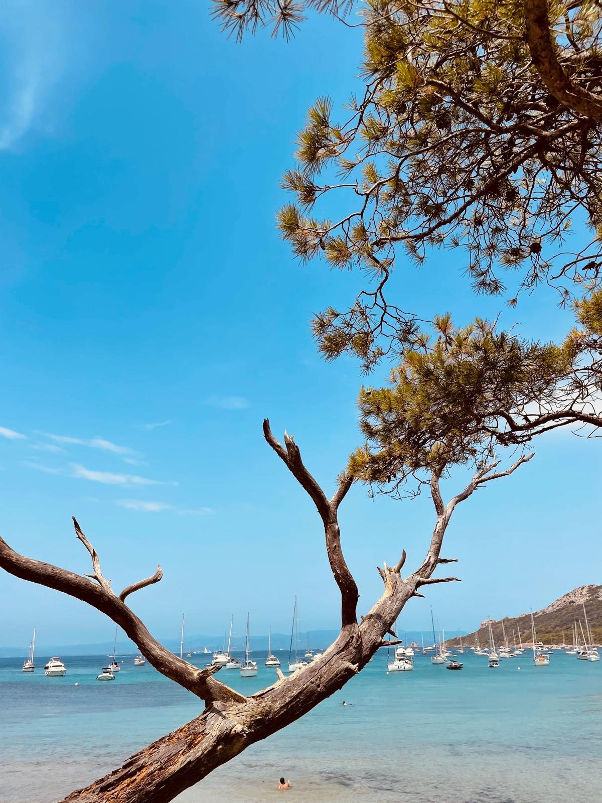 WhatsApp Image 2025-07-04 at 16.11.58.jpeg