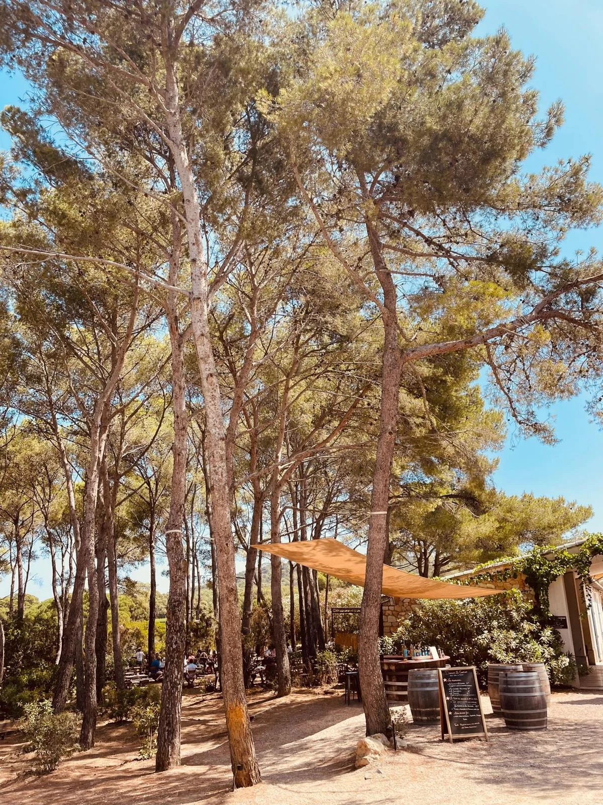 WhatsApp Image 2025-07-23 at 17.55.18.jpeg