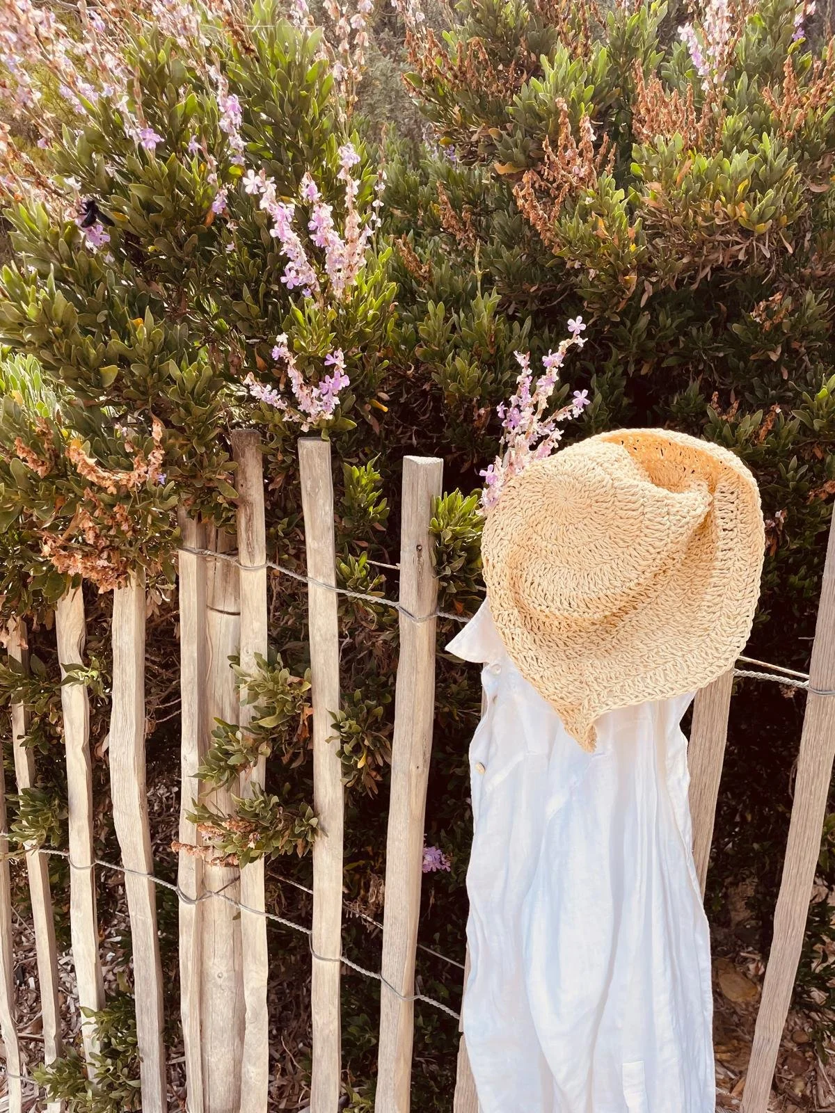 WhatsApp Image 2025-07-23 at 17.40.46.jpeg