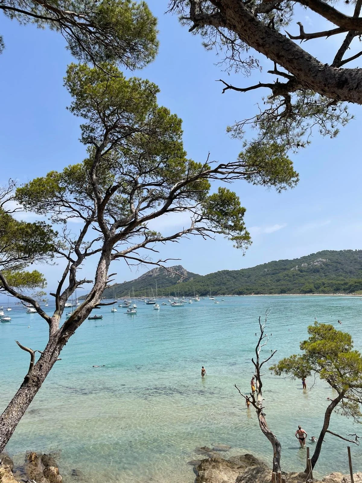 WhatsApp Image 2025-07-23 at 17.54.16.jpeg