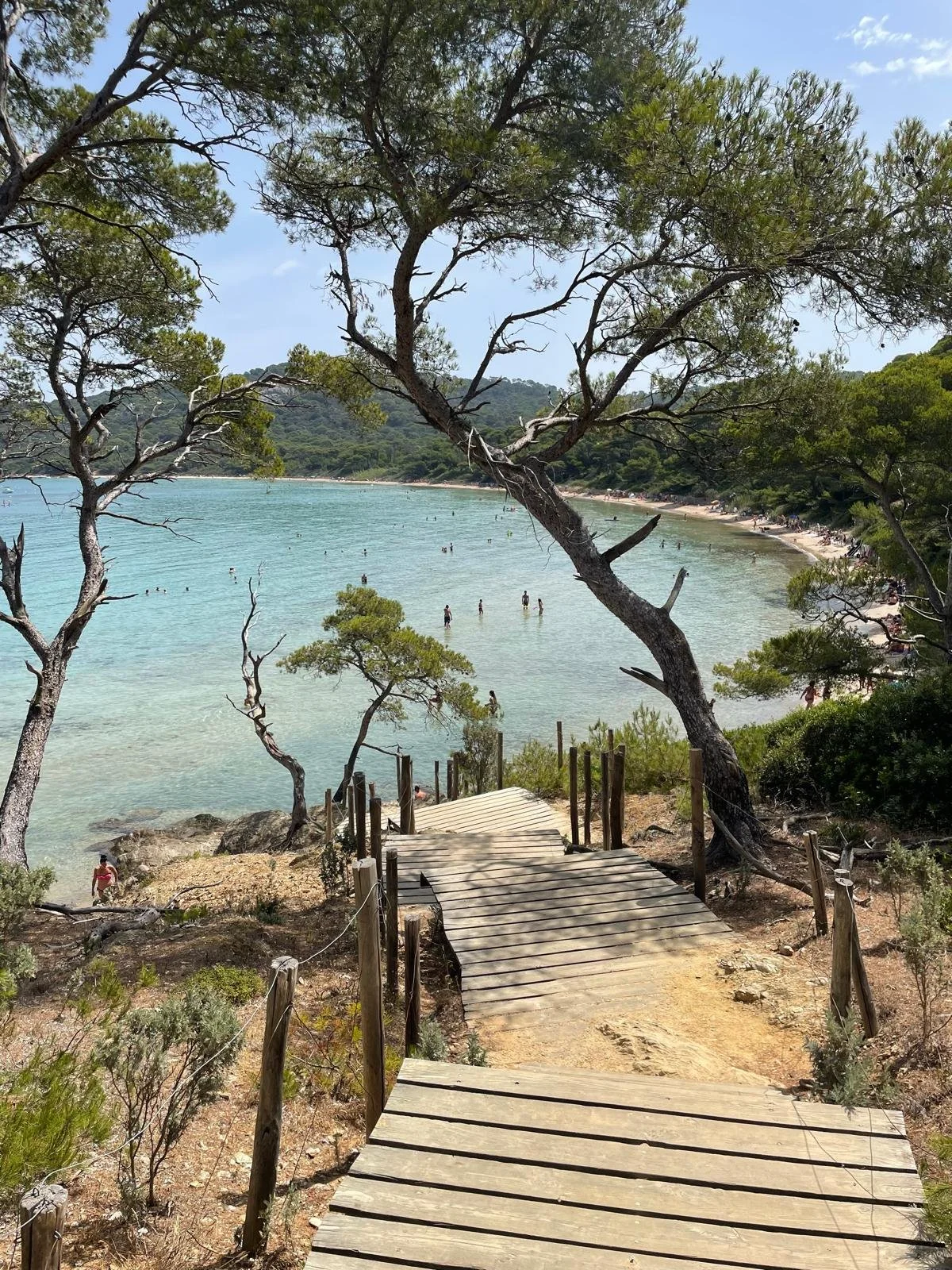 WhatsApp Image 2025-07-23 at 17.54.00.jpeg