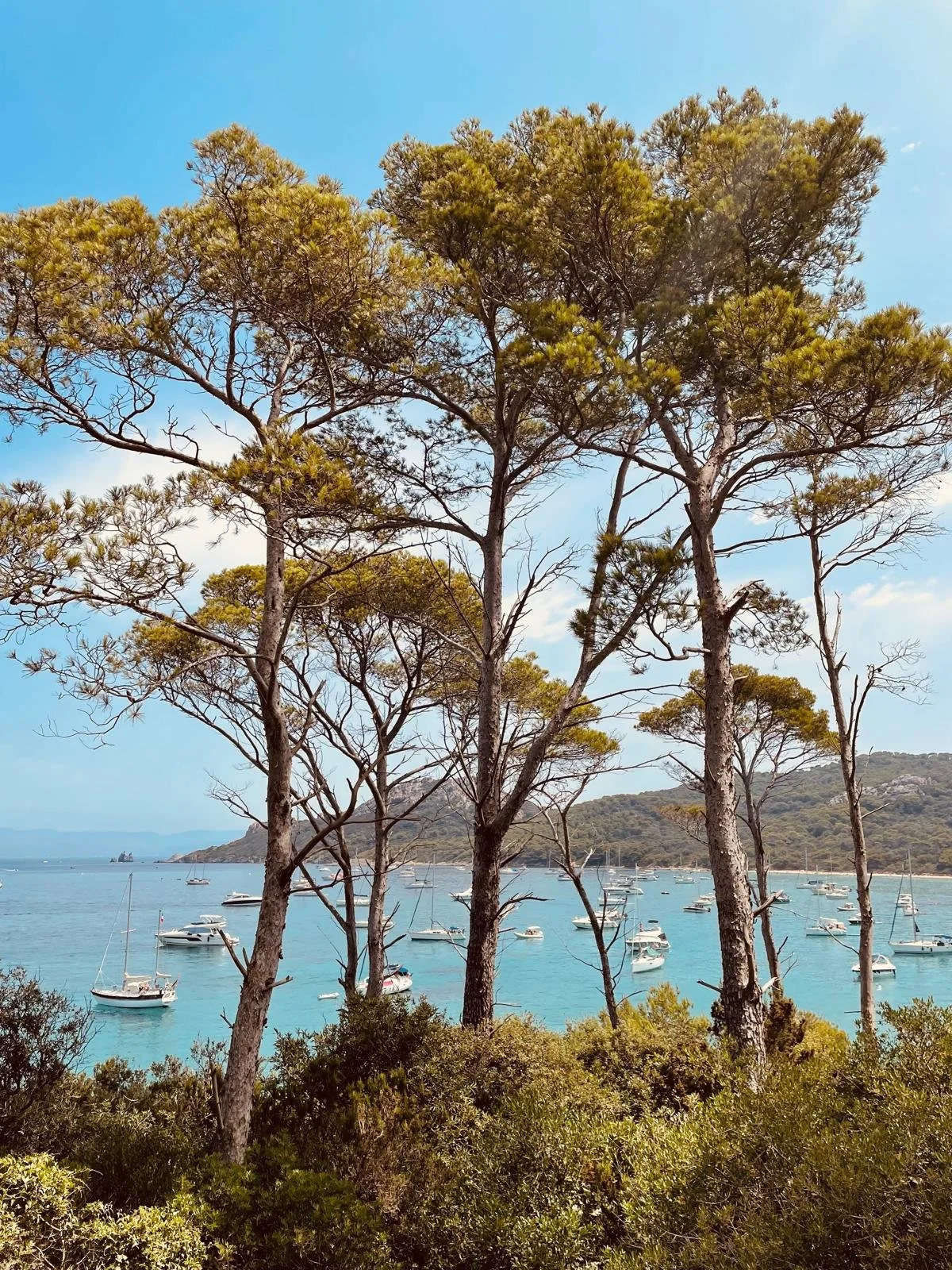 WhatsApp Image 2025-07-23 at 17.39.38.jpeg