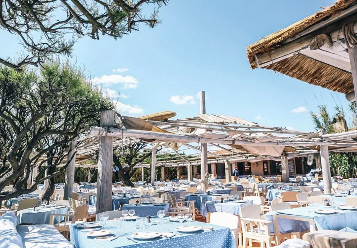 le-club-55-saint-tropez.webp