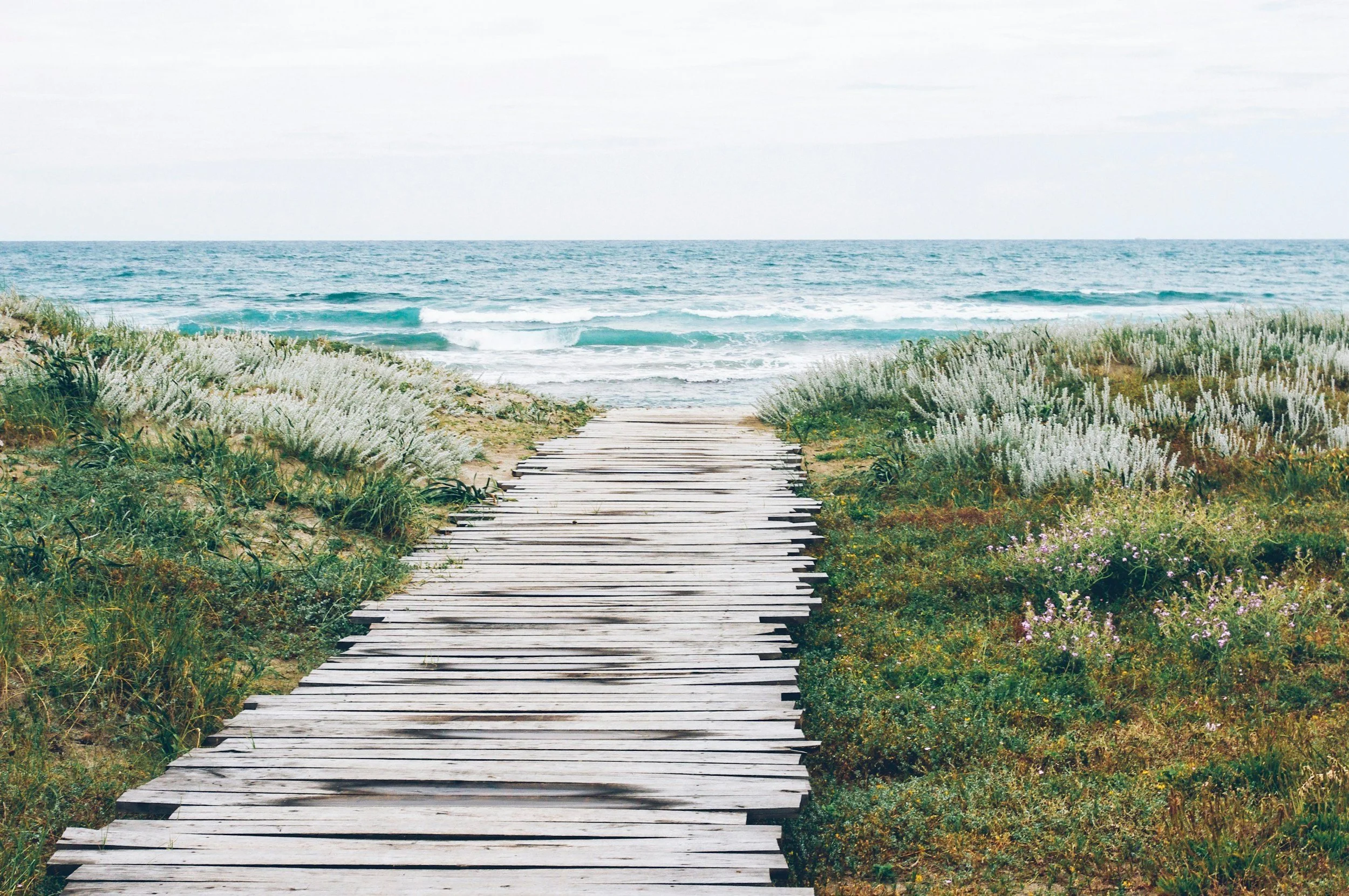 unsplash-image-MS7KD9Ti7FQ.jpg