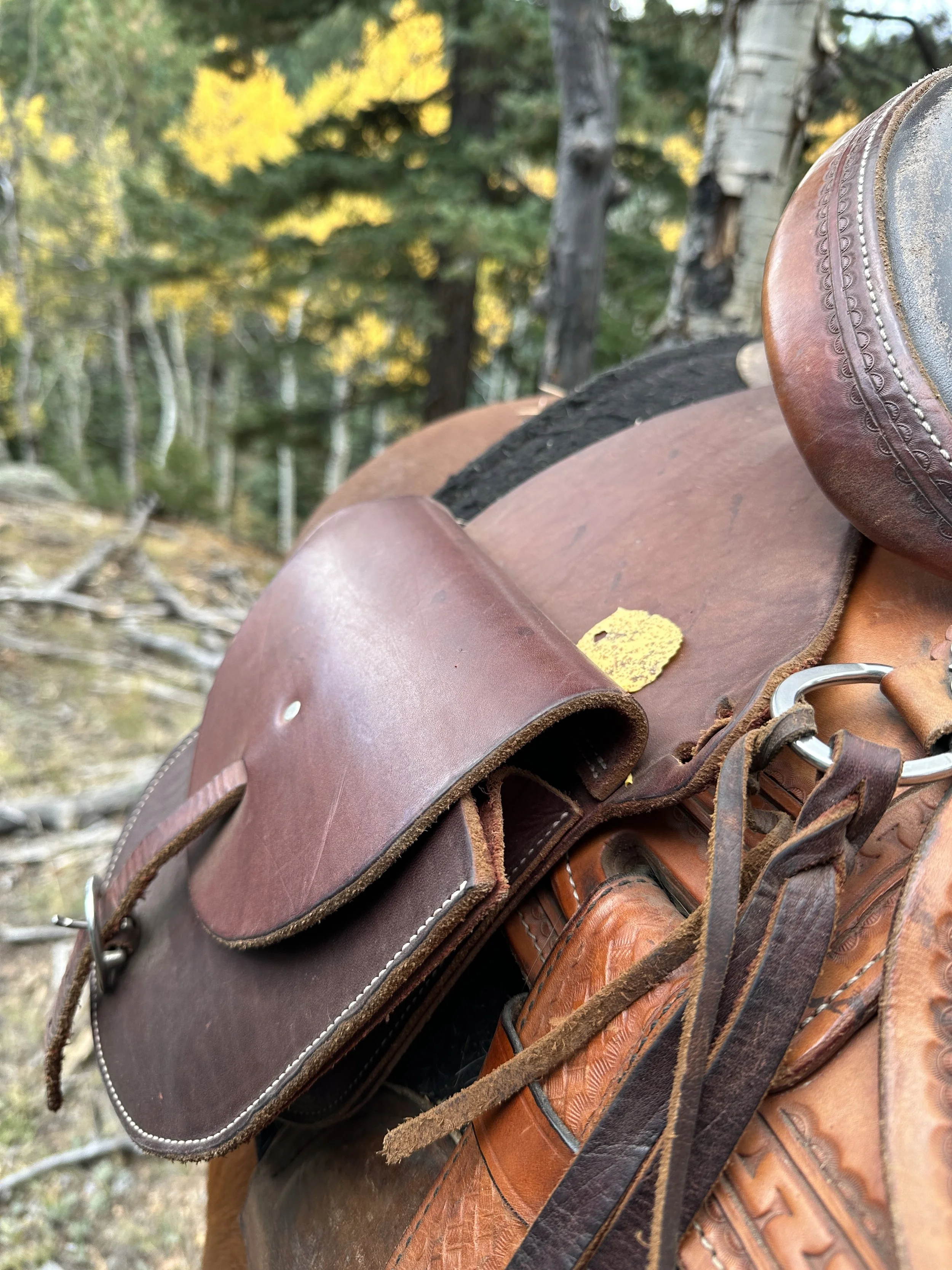 Close-up of a leather saddle and saddlebag on a horse with a yellow leaf on the saddle, in a wooded forest setting.