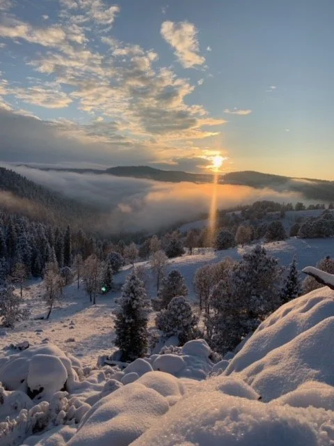 Snow-covered trees and landscape with a sunrise or sunset over hills and clouds.