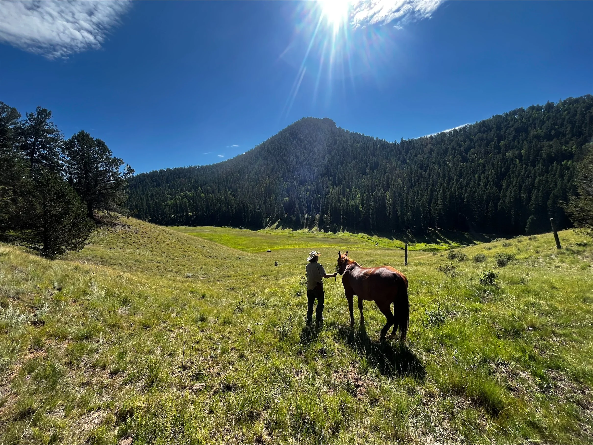 A person in a hat with a horse in a green valley surrounded by forested mountains under a bright blue sky with the sun shining.