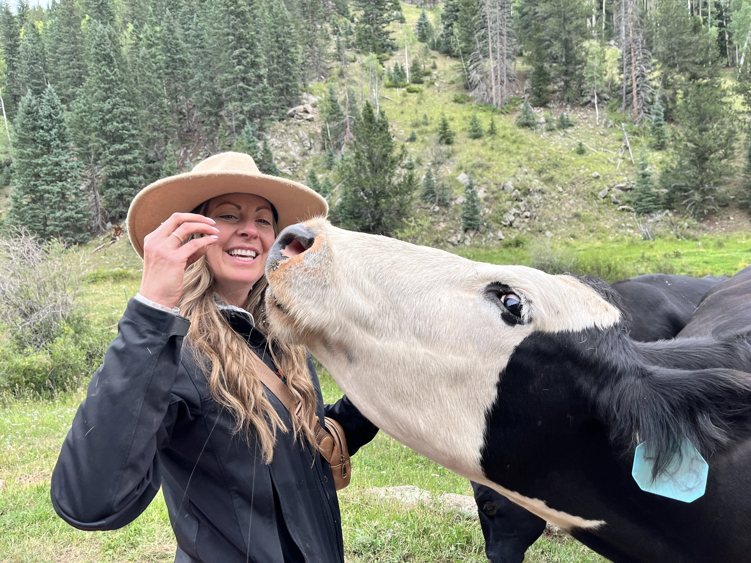 A woman with long wavy hair wearing a wide beige hat and a black jacket is smiling as a black and white cow licks her face in a lush green field with trees in the background.