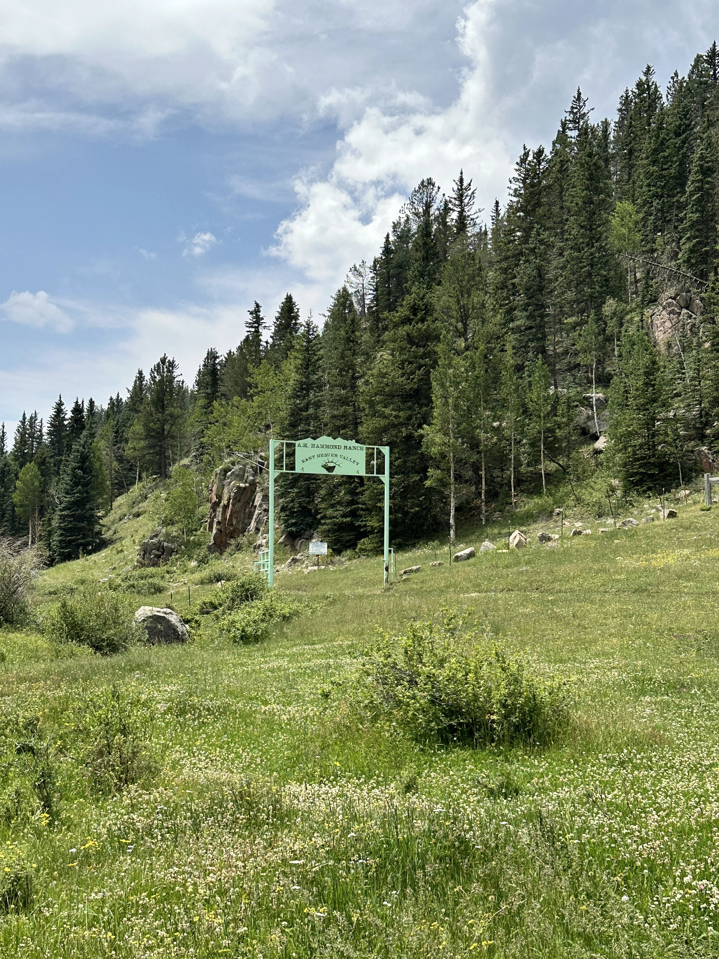 Entrance to A.K. Hammond Ranch with a green sign under a partly cloudy sky, surrounded by a grassy meadow and dense forest of pine trees.