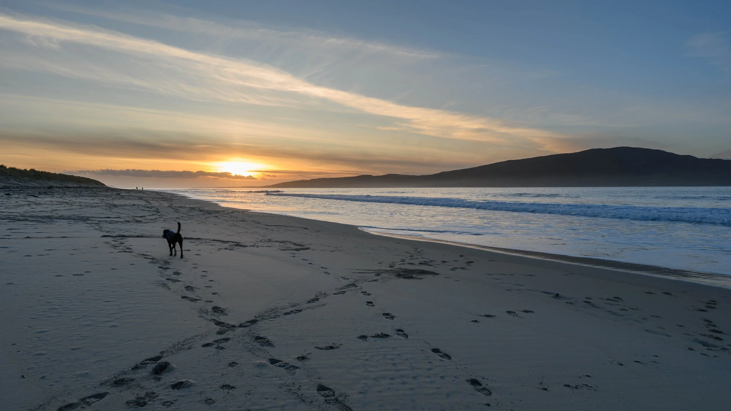 Happy Bob photobombing