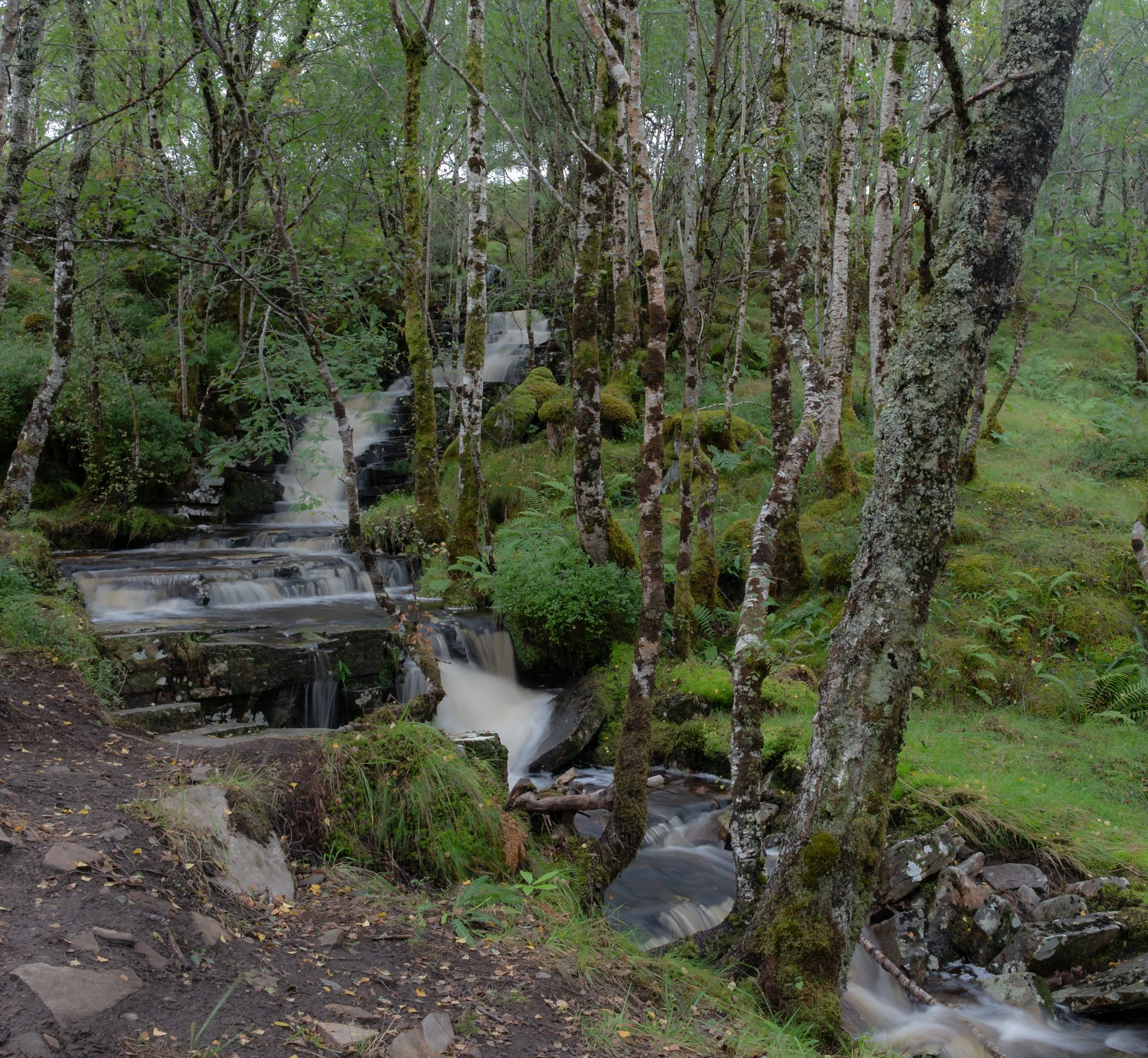Corrieshalloch Gorge