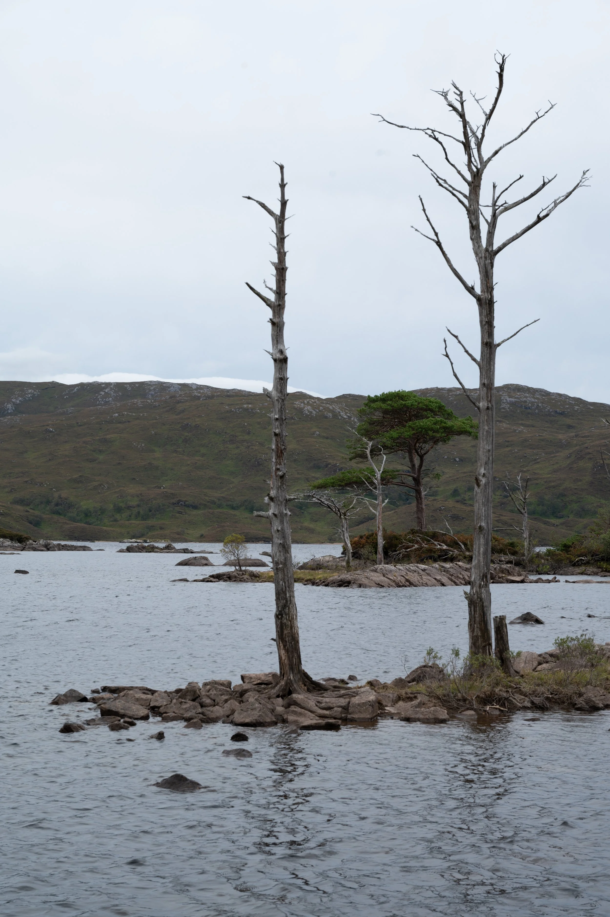 Loch Assynt