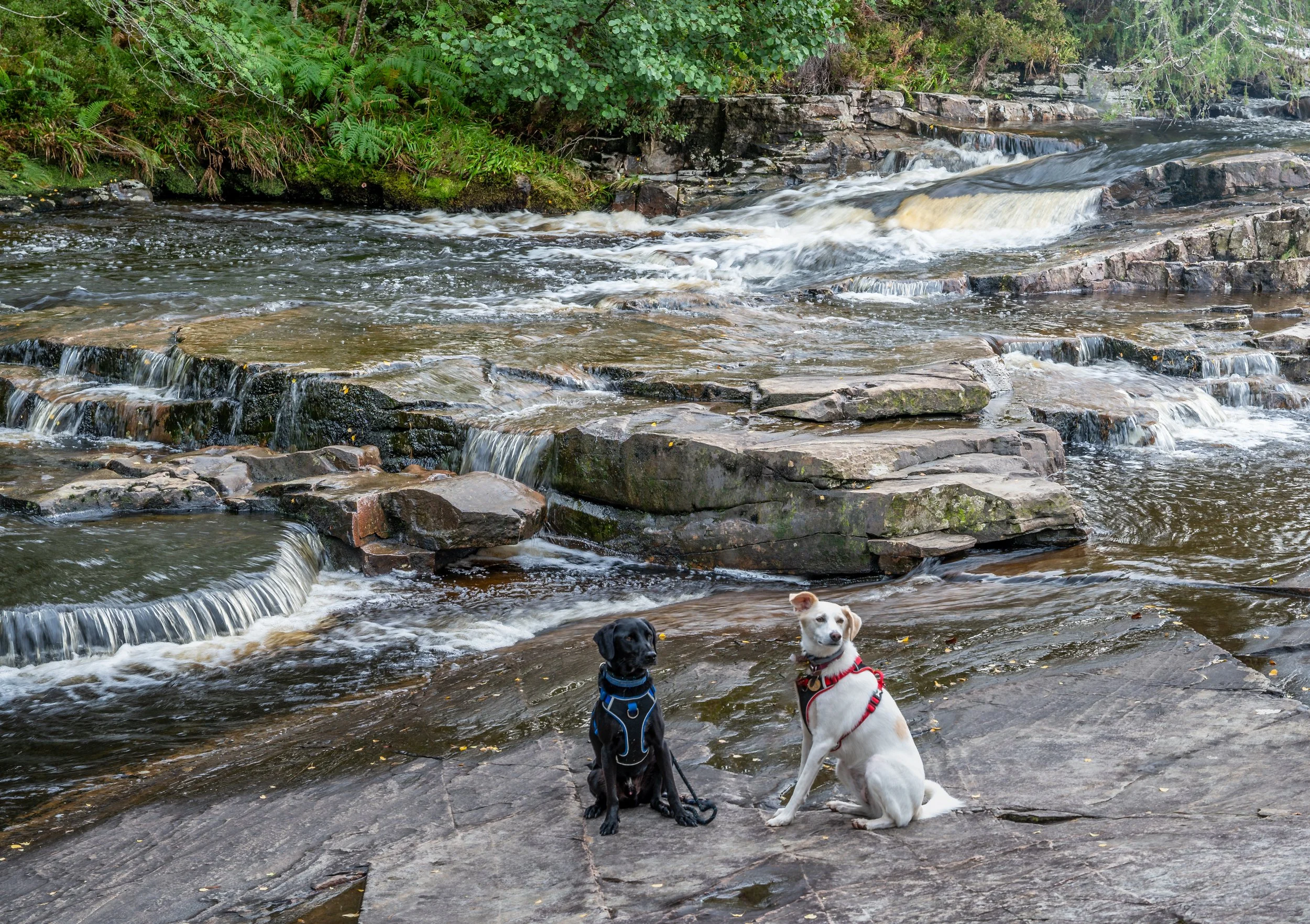 Corrieshalloch Gorge