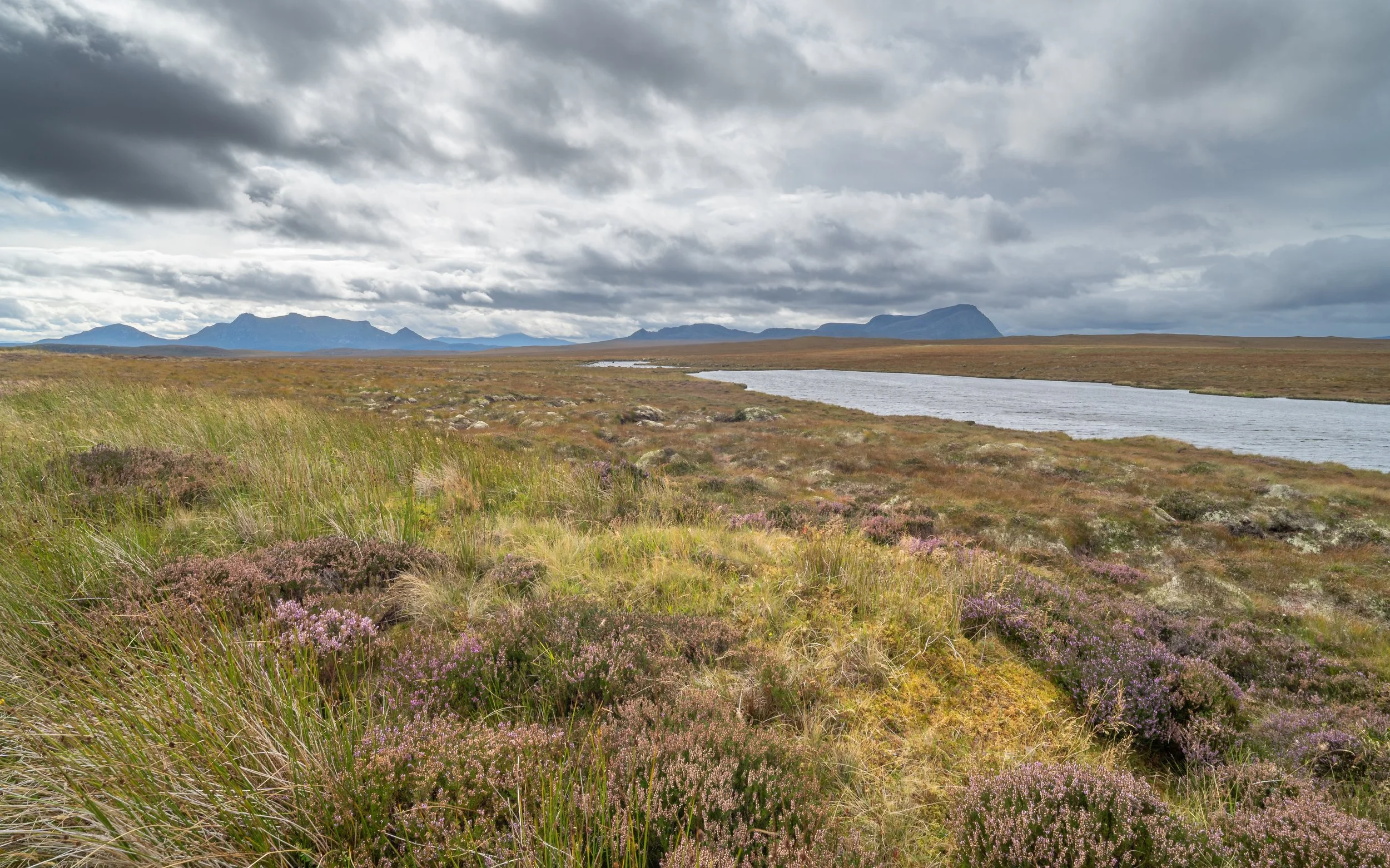 Ben Loyal and Ben Hope
