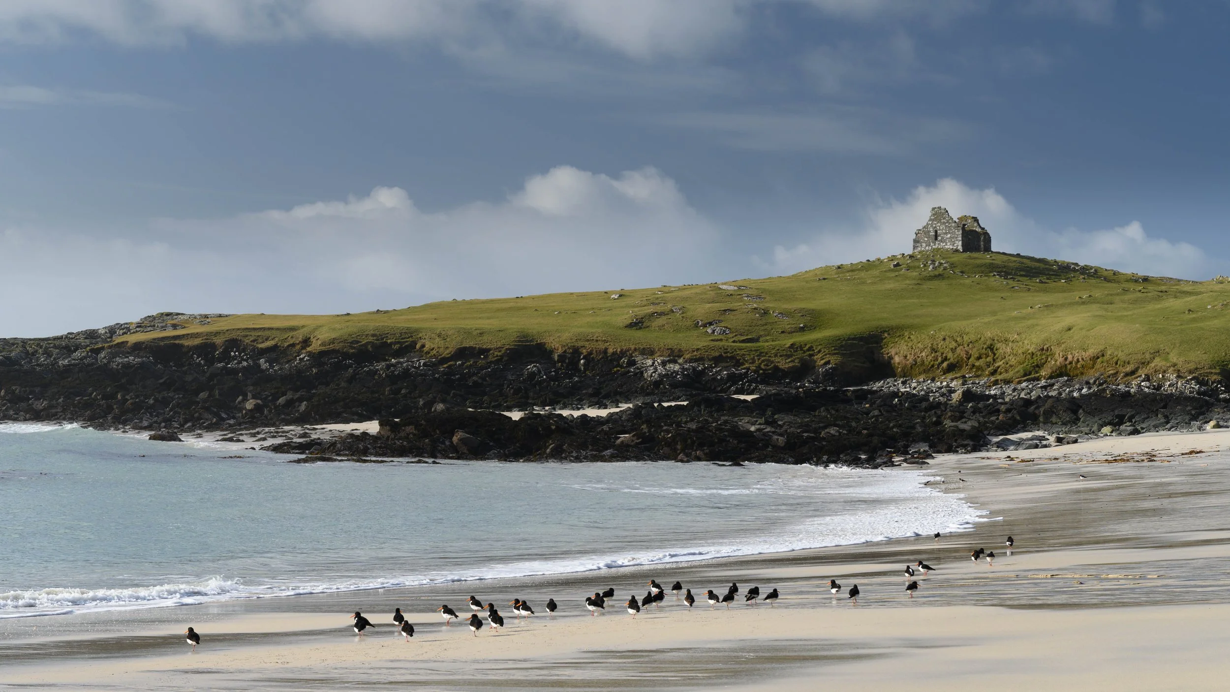 Oystercatchers and Traigh an Teampuill