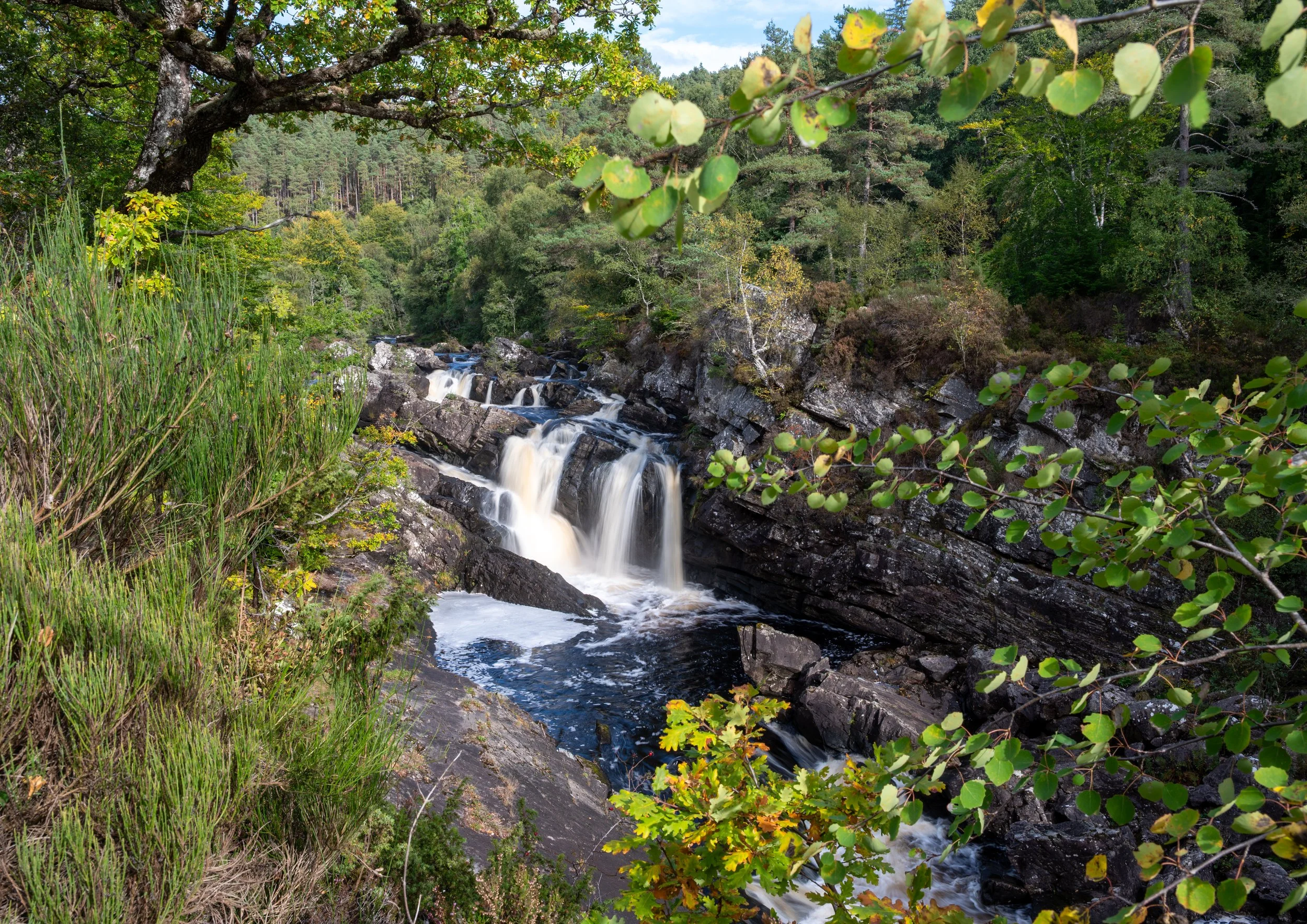 Rogie Falls