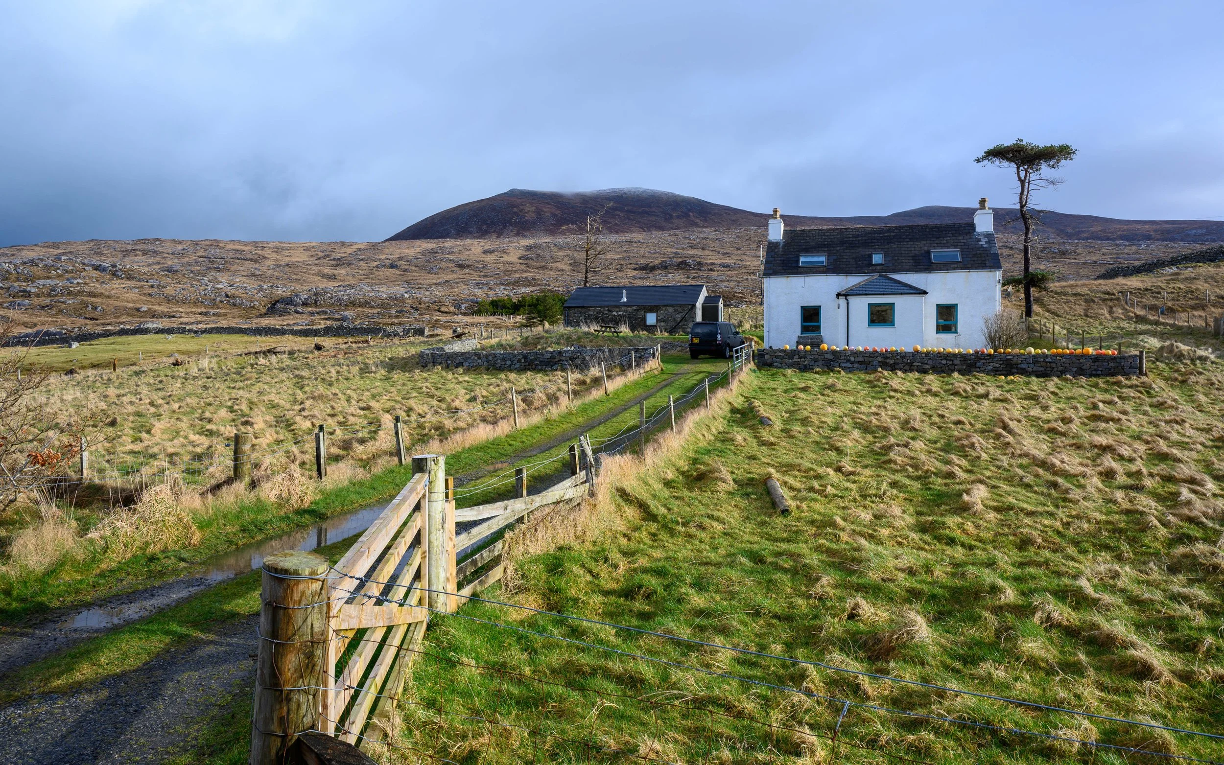 Seaside Cottage, Luskentyre, base for the week