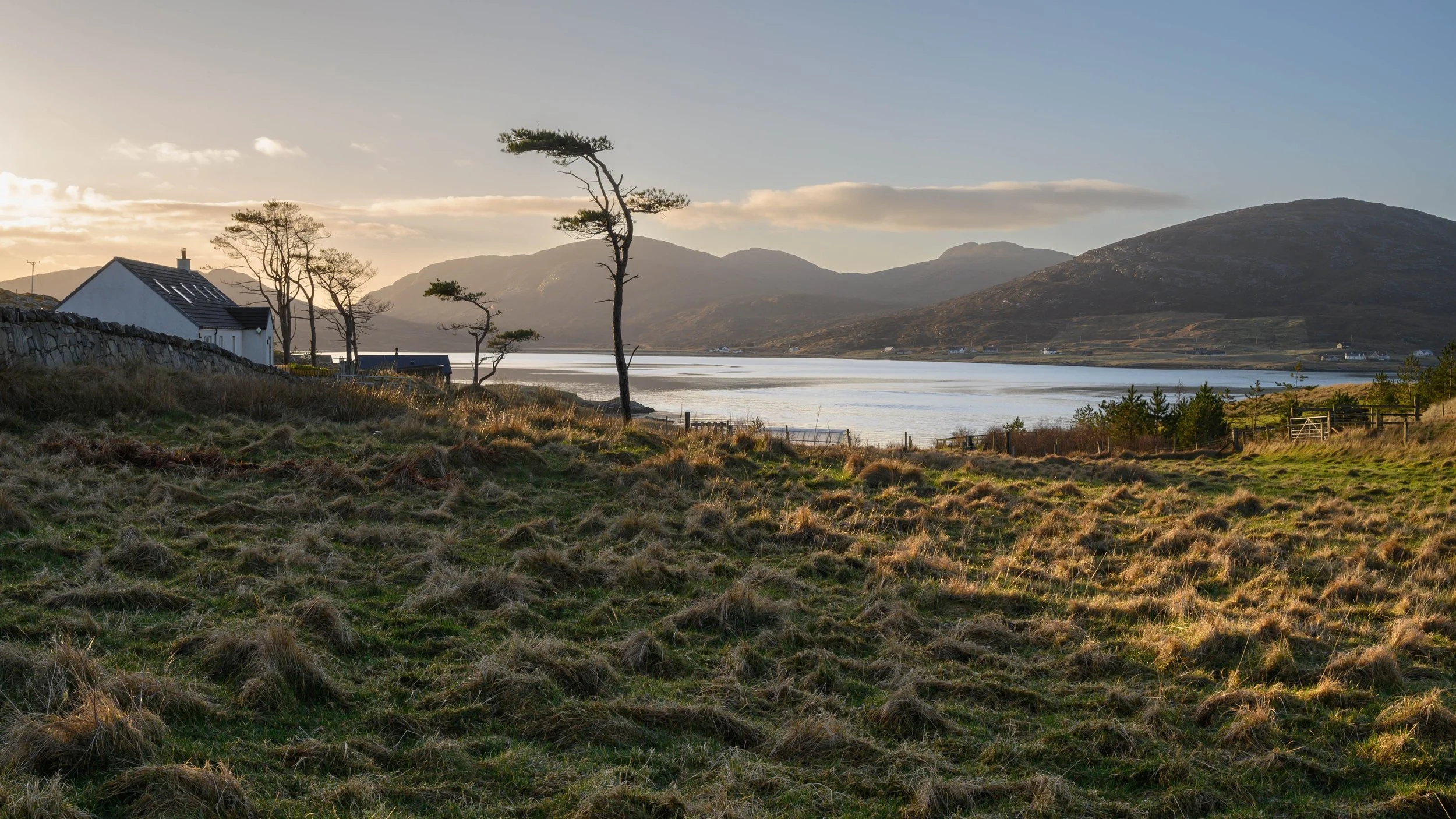 View from the cottage