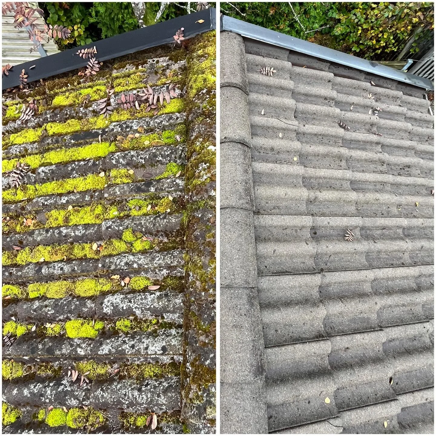 Vilken otrolig skillnad det blir!!😊🏡☀️
Passa p&aring; att boka in en taktv&auml;tt eller stentv&auml;tt du med innan Rot-avdraget p&aring; 50% f&ouml;rsvinner! (ENDAST 3 M&Aring;NADER KVAR)

- 076 611 20 02
- kontakt@nordisktrent.info