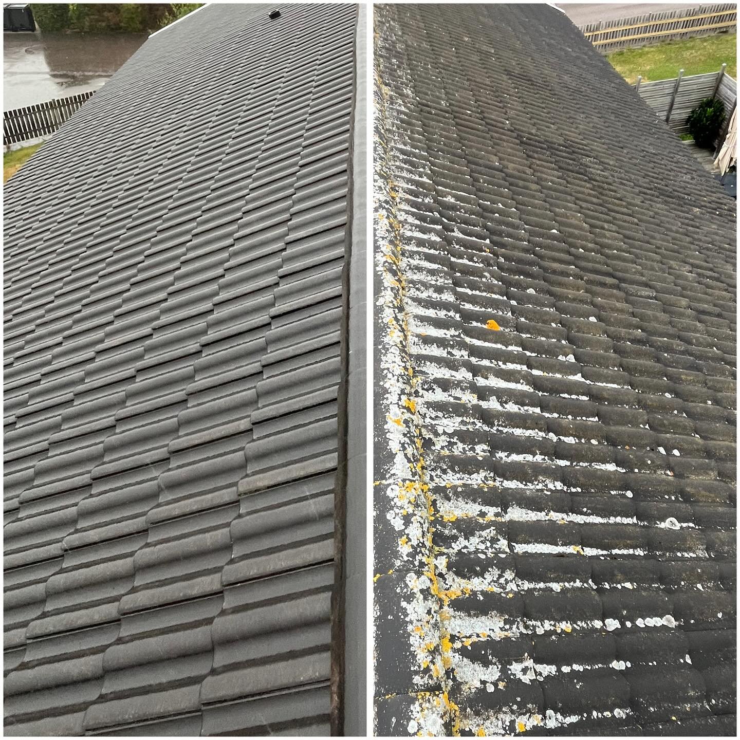 Tak rengjort och impregnerat med Klar Yta Algborttagningsmedel. Glansigare tak &auml;n s&aring;h&auml;r blir det inte 😁🙌☀️

Beh&ouml;ver ditt tak ocks&aring; en uppfr&auml;schning?
Kontakta d&aring; oss p&aring;:
📧 nordisktrent@gmail.com 
📞 076 6