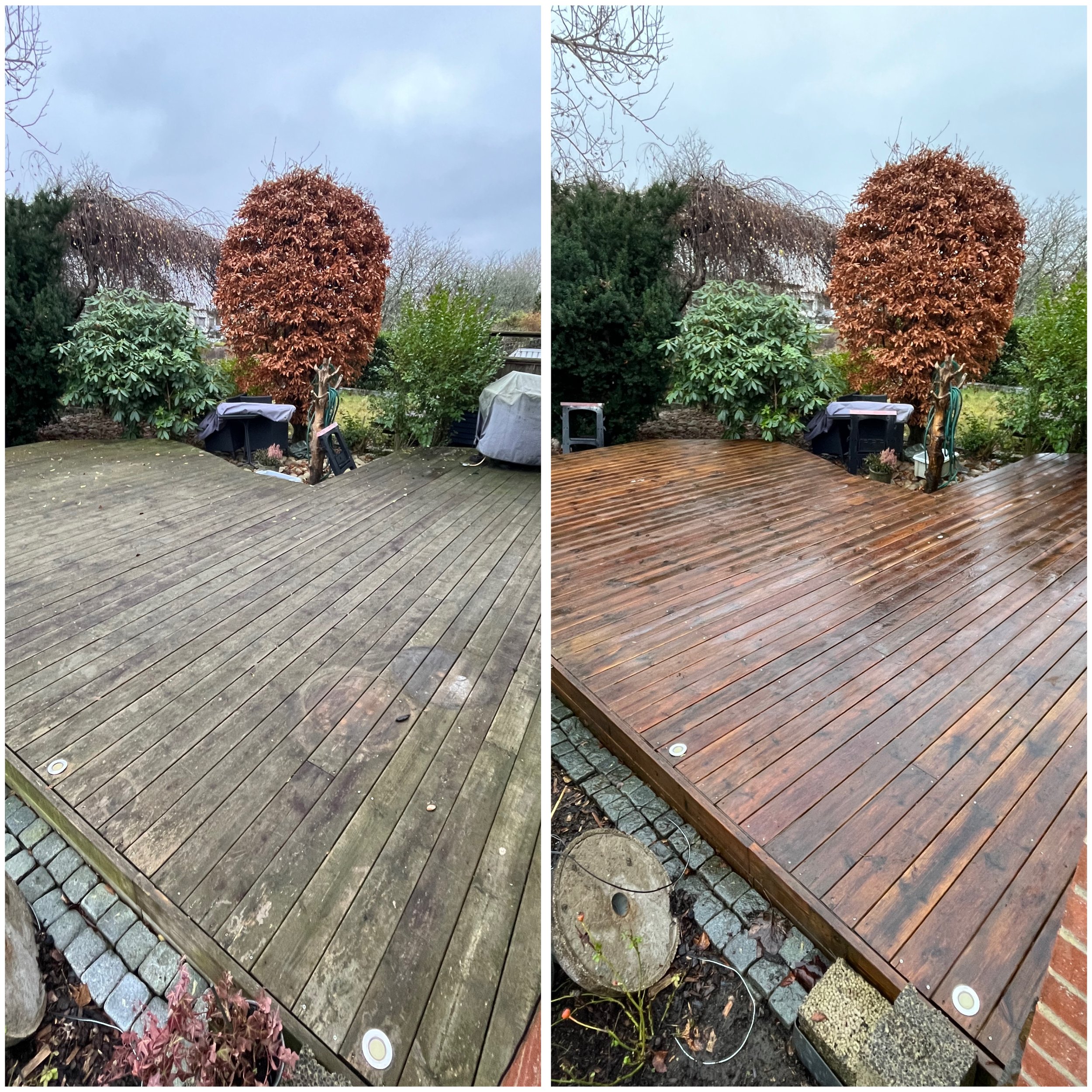 BA8E2FCE-AF81-4739-A1AF-07489C863B73 2.JPEG