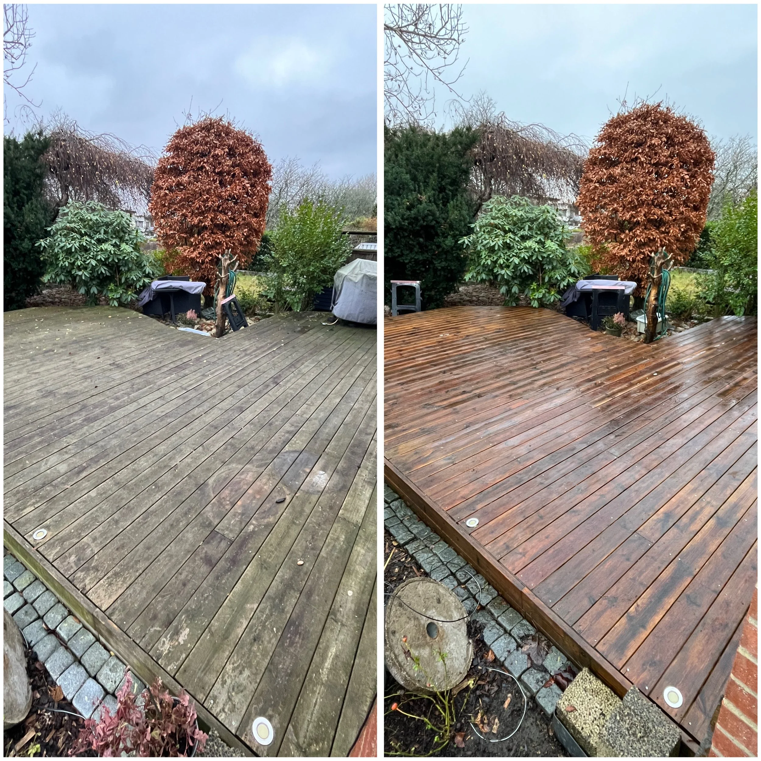 BA8E2FCE-AF81-4739-A1AF-07489C863B73 2.JPEG