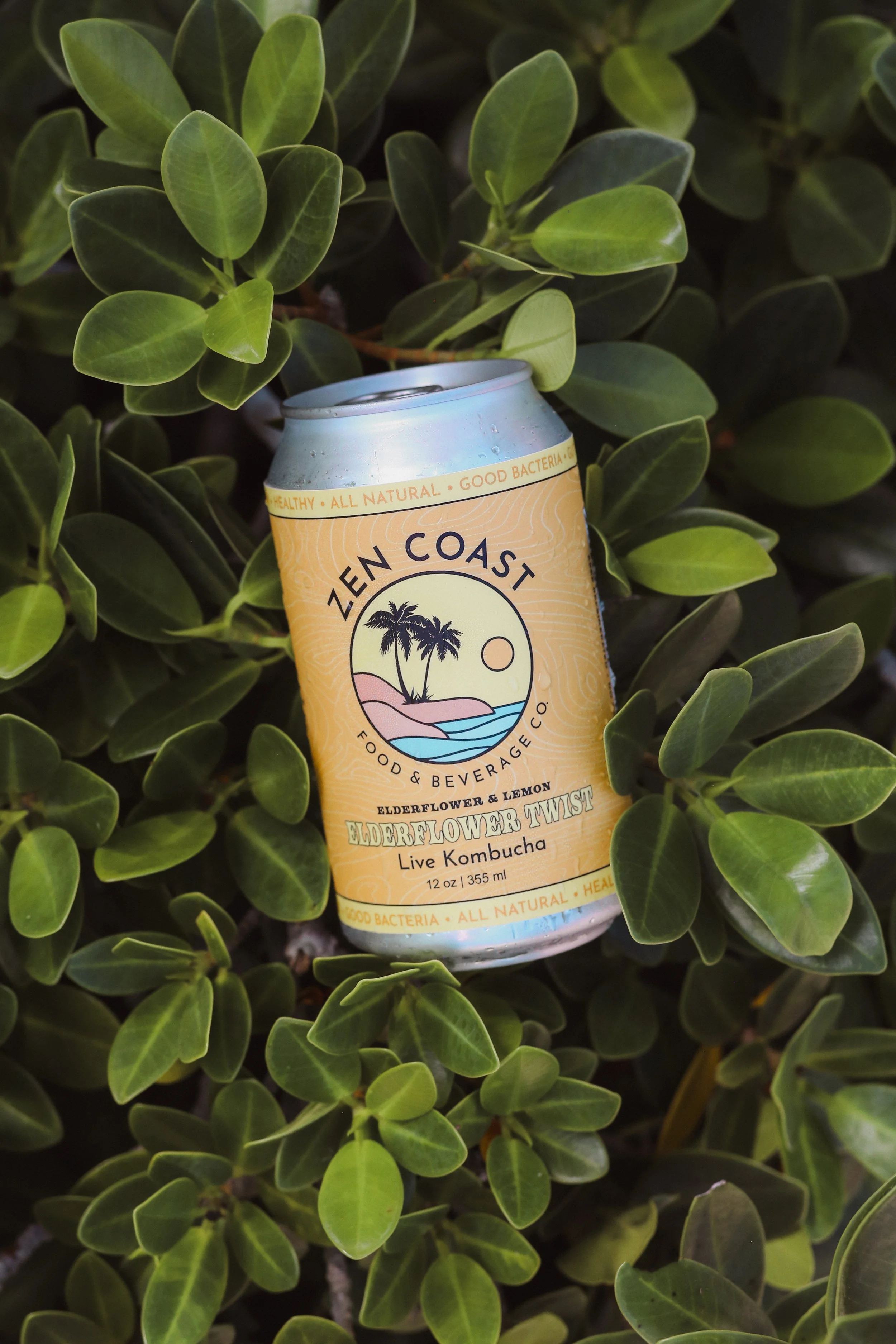 A can of Zen Coast Elderflower Twist kombucha surrounded by green leaves.