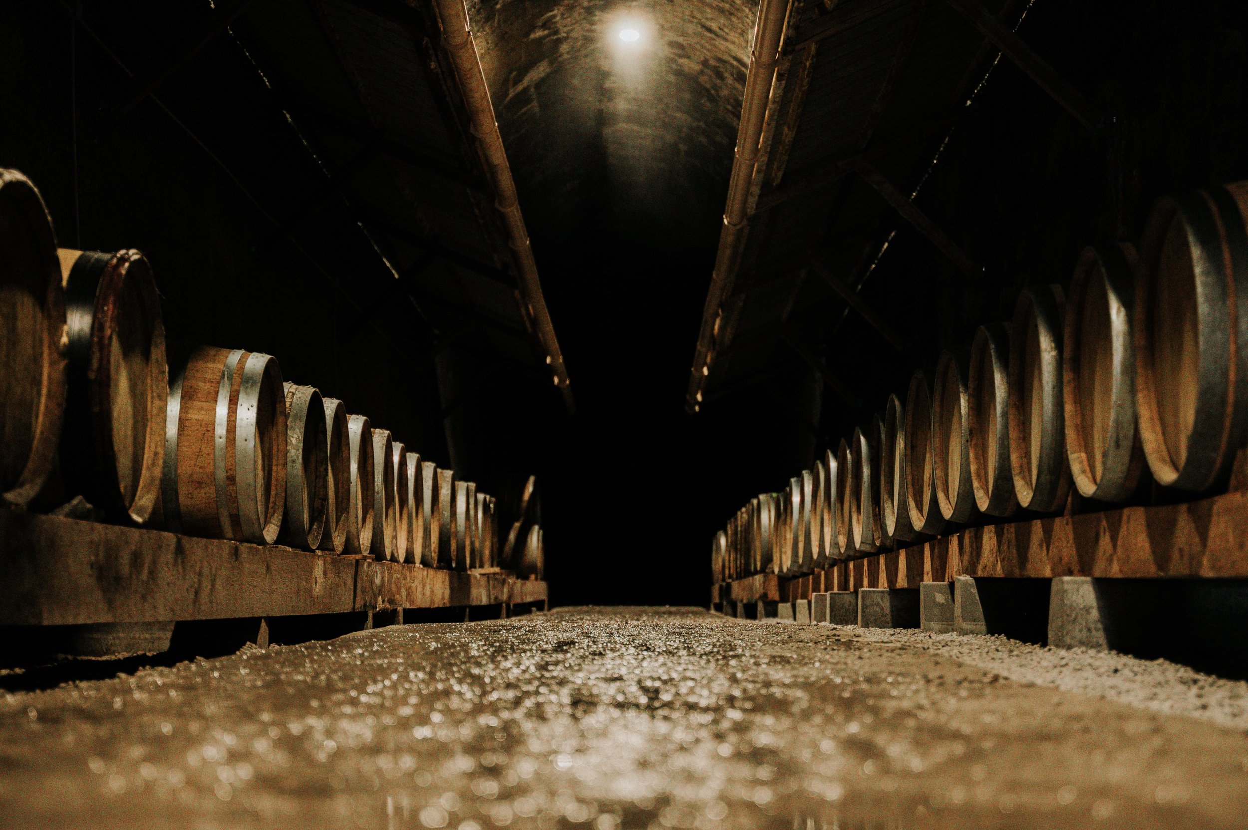 Vast wine cellar with wooden barrels stacked on both sides and dim lighting.