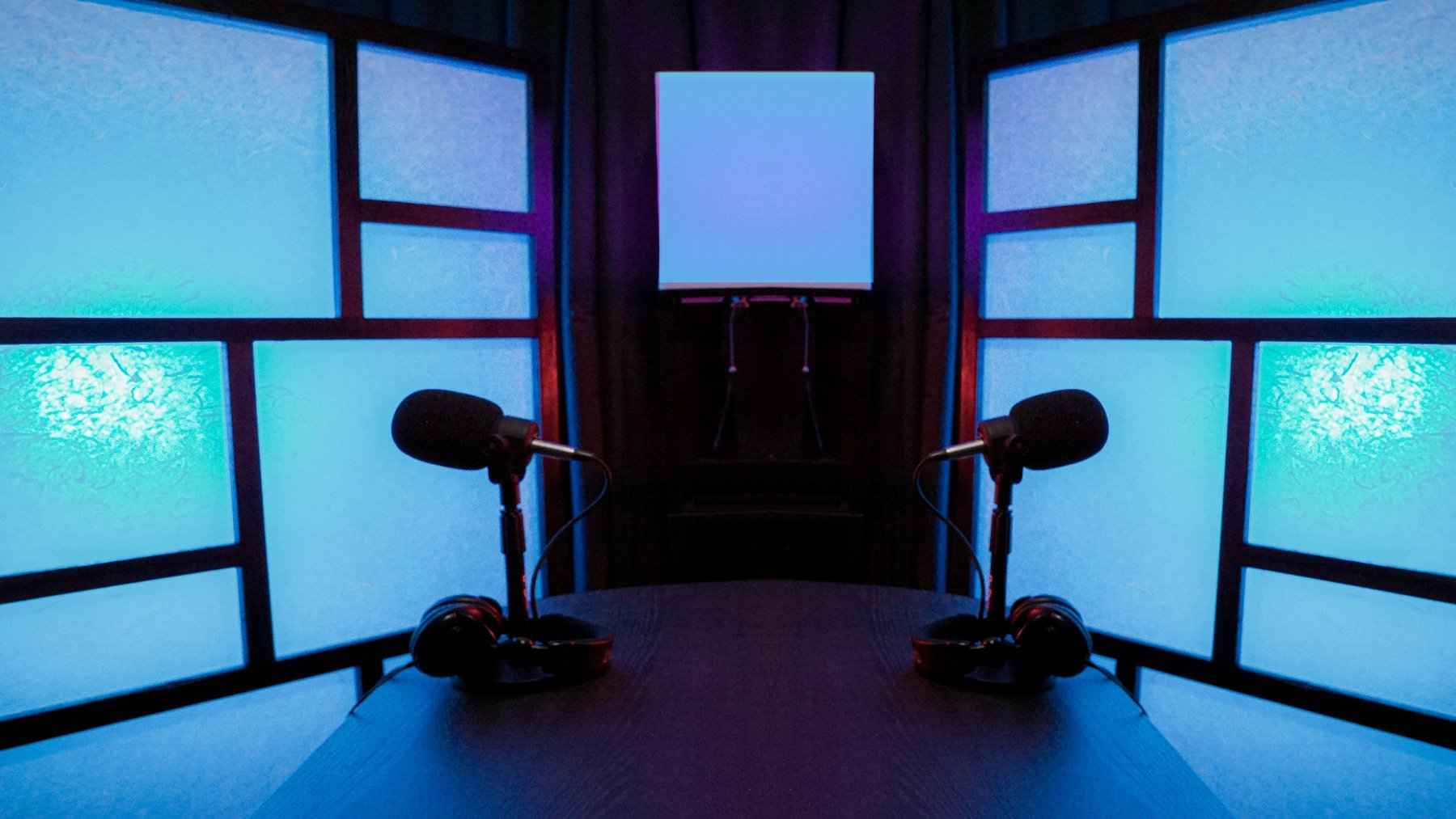 photo of 2 microphones facing each other