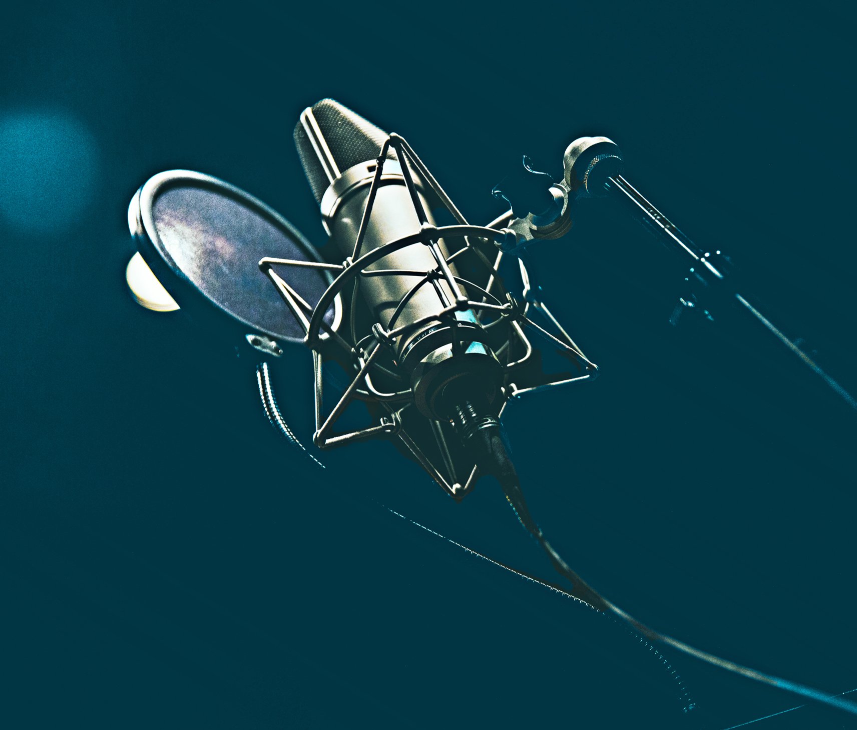 photo of a high end microphone