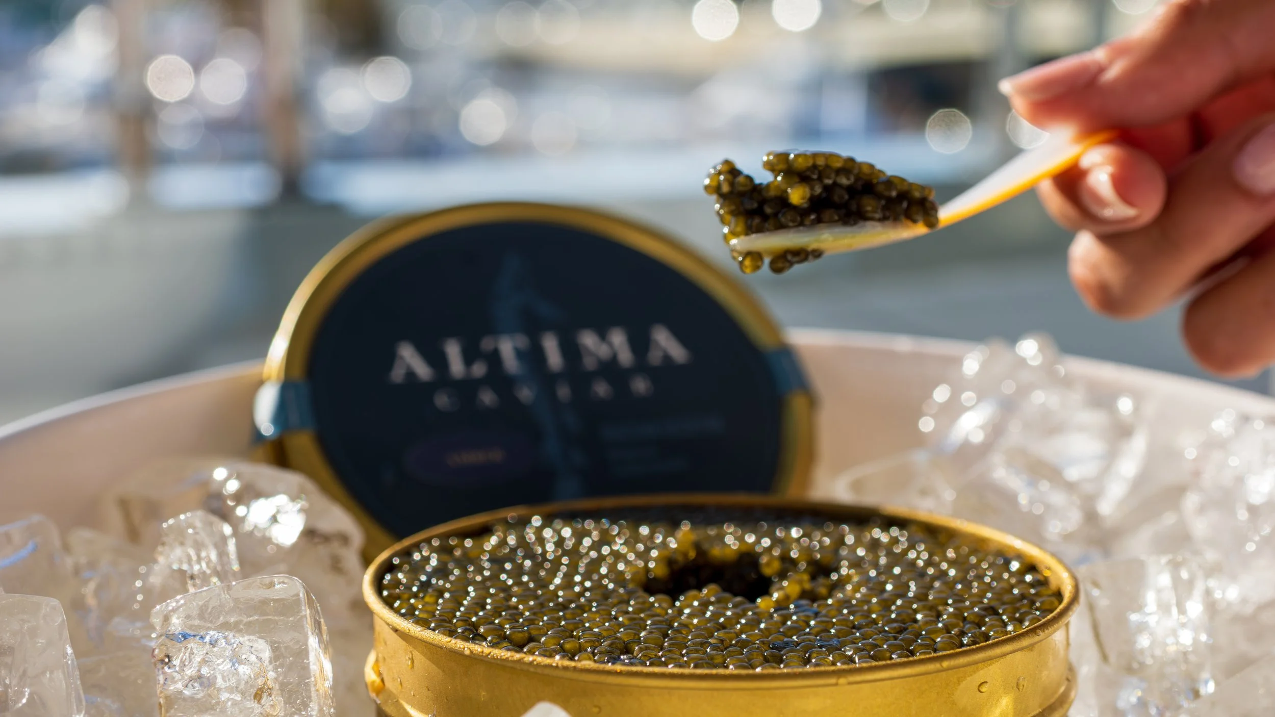 How Food Became One of the Biggest Parts of a Yacht Charter