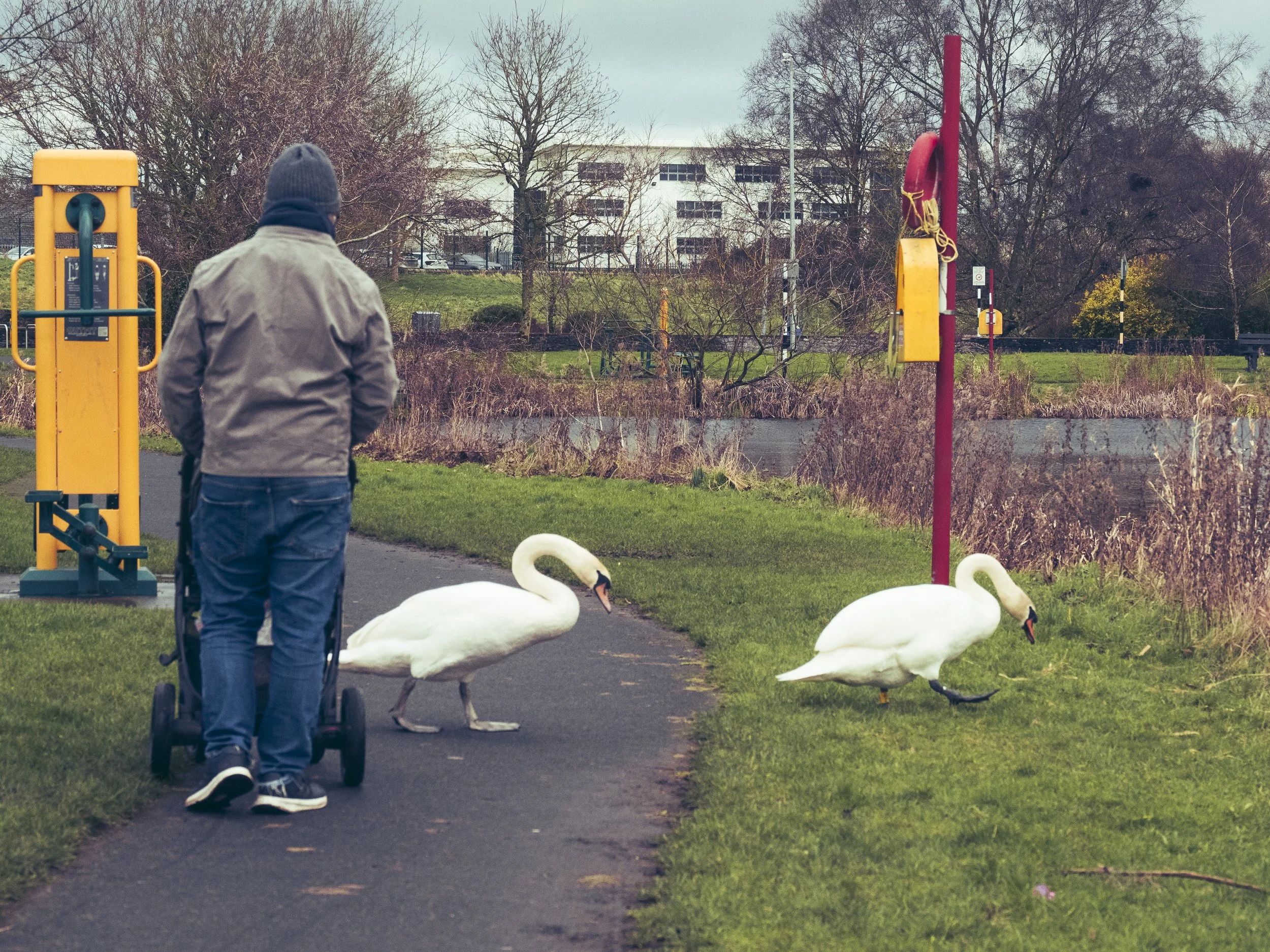 Crossing Paths - Feb 26