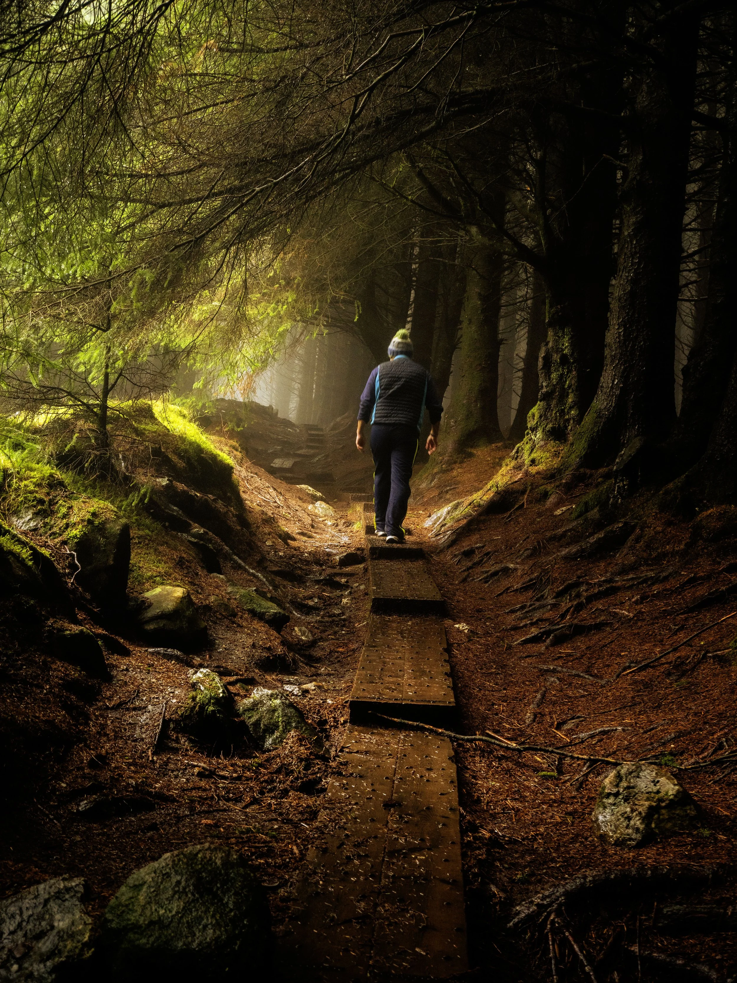 A walk in Ballinastoe Wood on a foggy morning. Nov 25