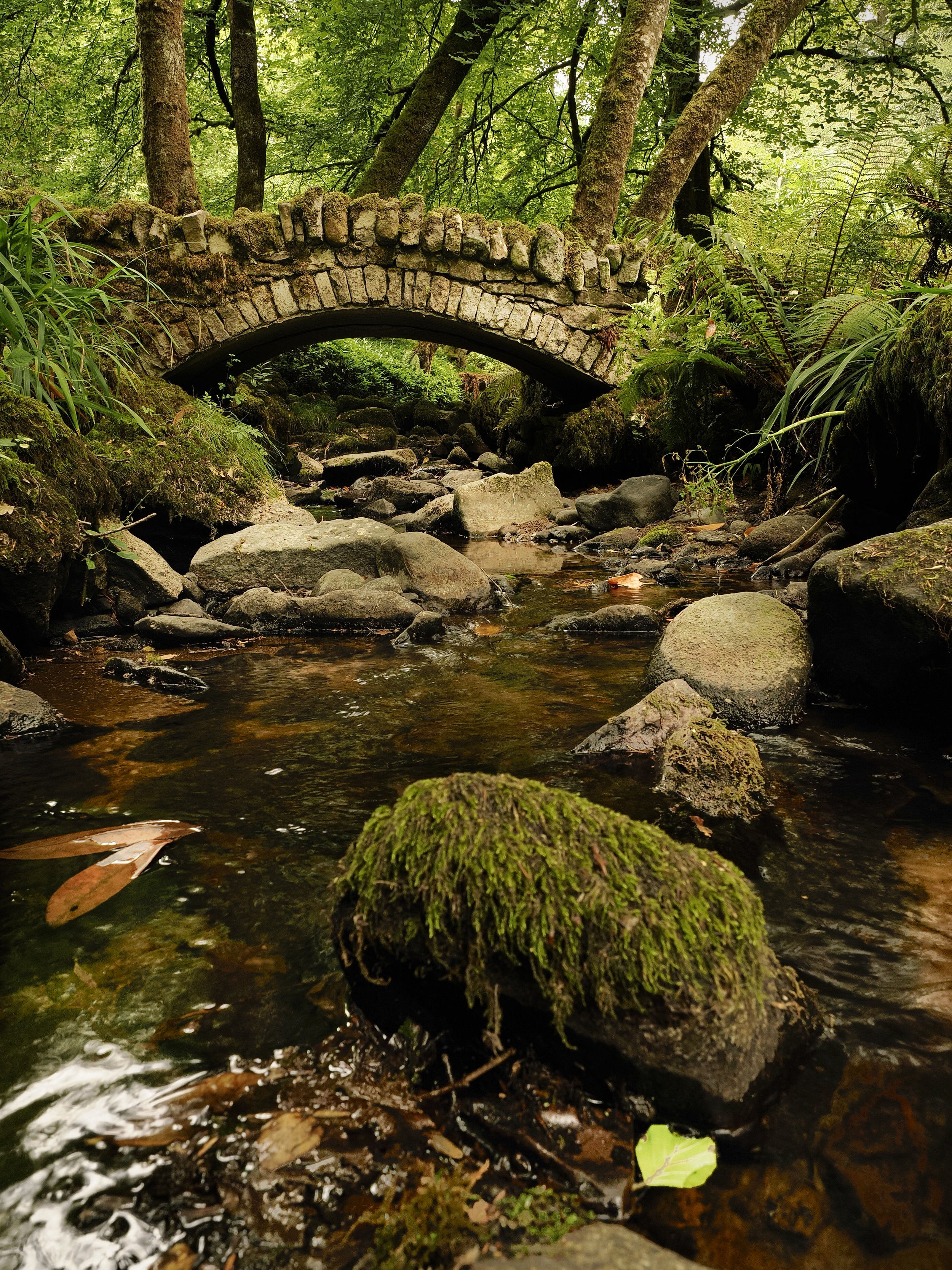 Kilfane Glen & Waterfall - August 2026. Watch video by clicking on image 