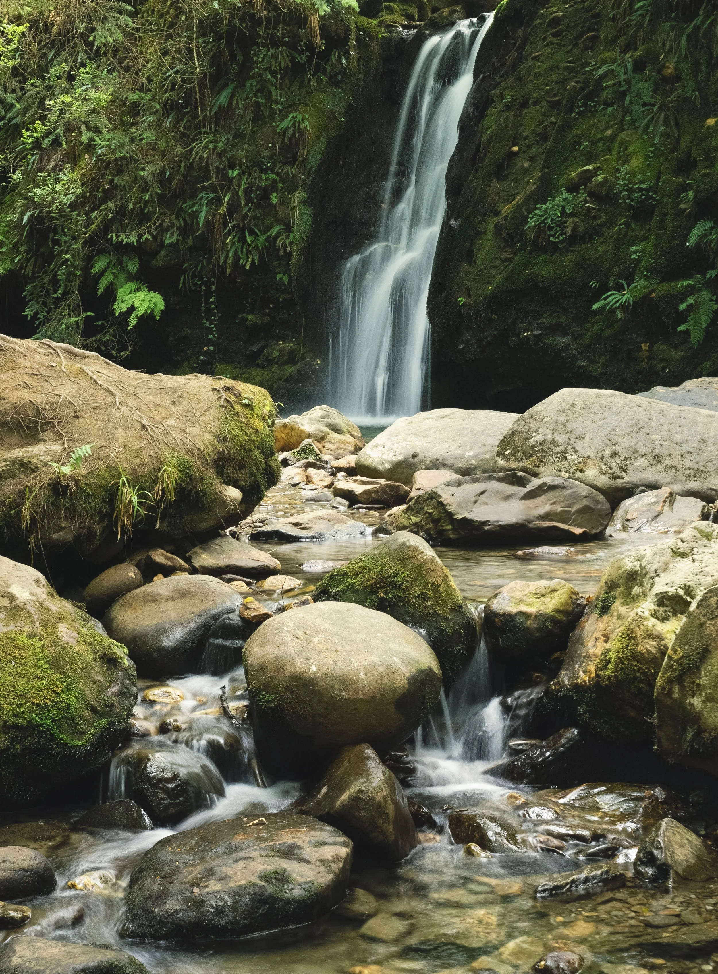 Coolalingo Waterfall in high summer. Aug 2026. Watch video by clicking on the image. 