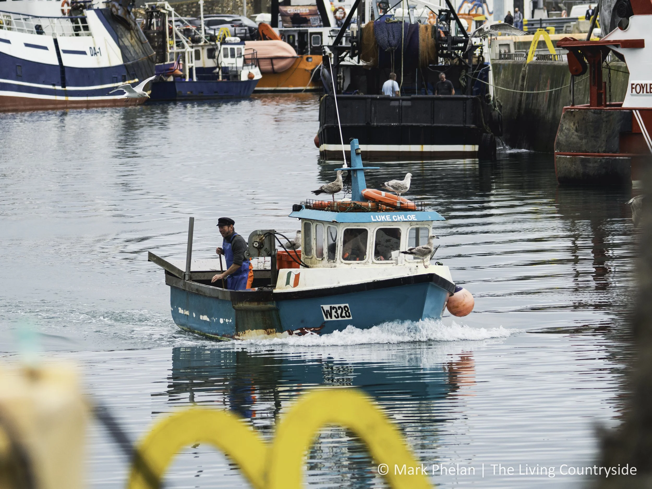 Lobster fishermen returning to harbour - September 2025