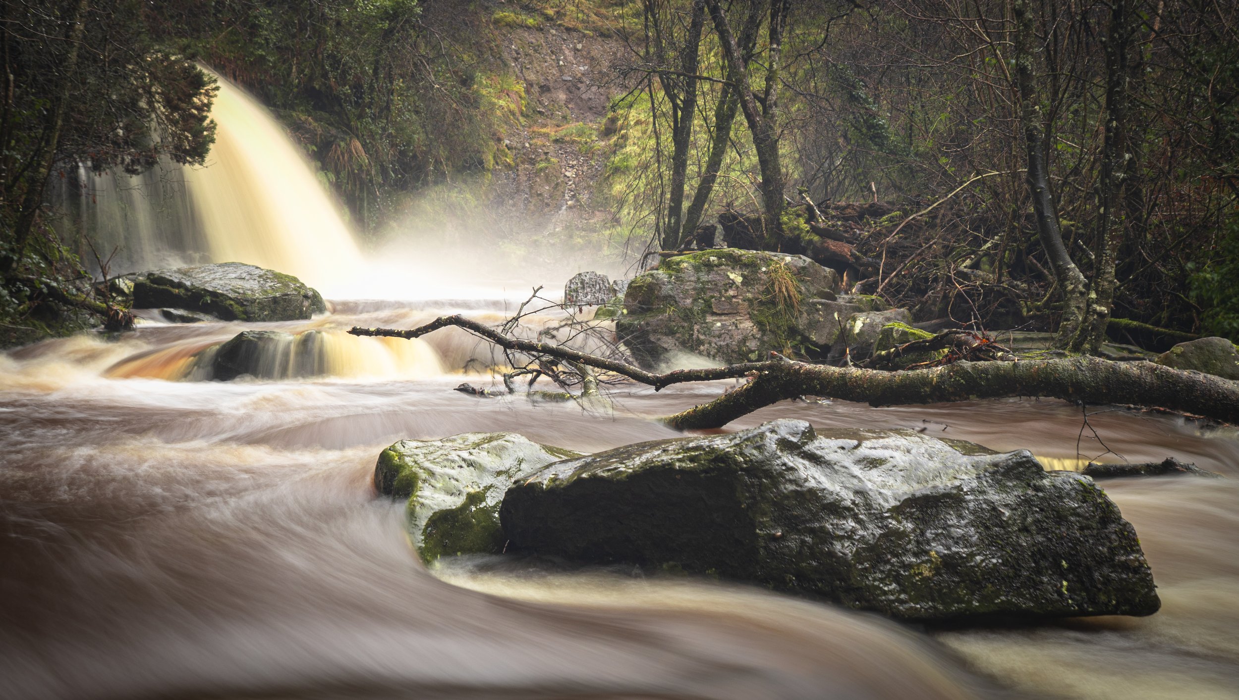 Glenbarrow - Slieve Bloom Mountains - Jan 2026