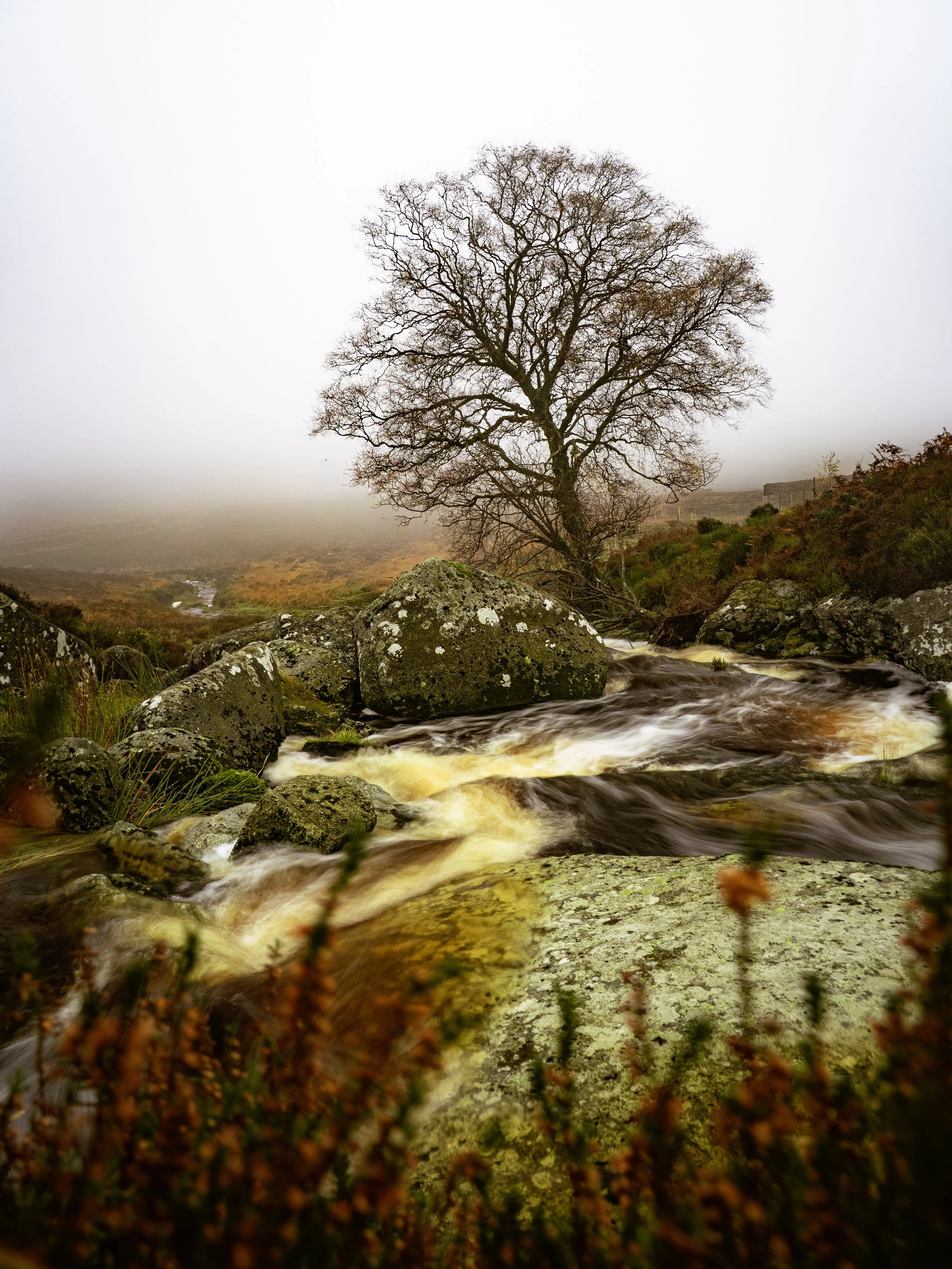 Sally Gap Wicklow in the Fog - Nov 25